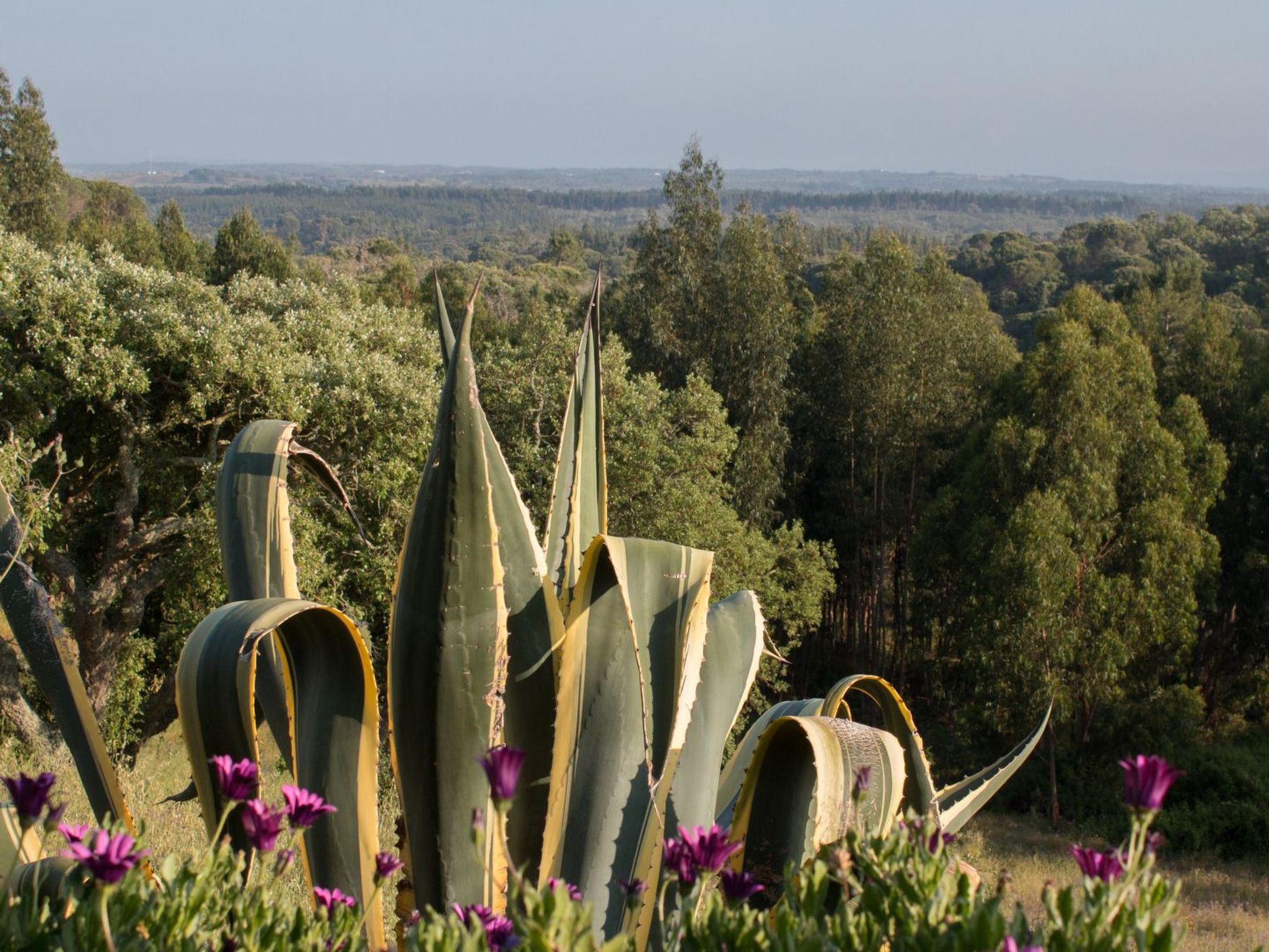 Monte Horizonte Casa Oliveira Öko und Natur-Image-tags.info