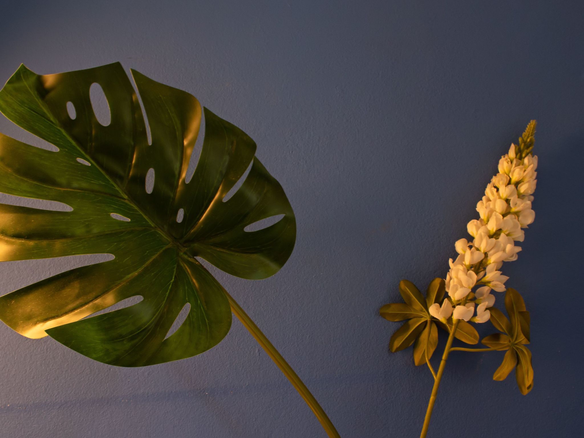 Monte Horizonte Casa Mimosa Öko und Natur