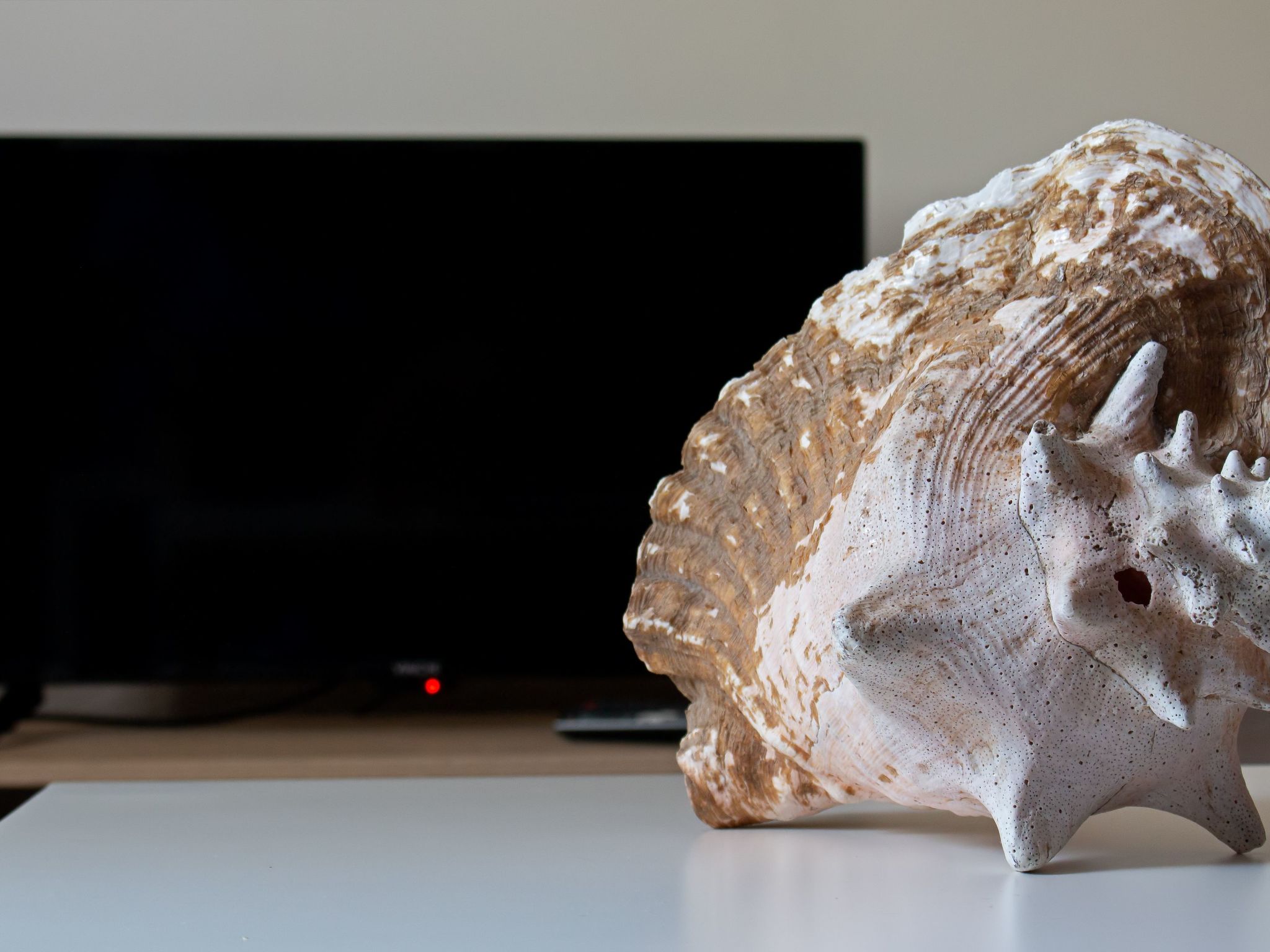 Monte Horizonte Casa Mimosa Öko und Natur-Image-tags.info