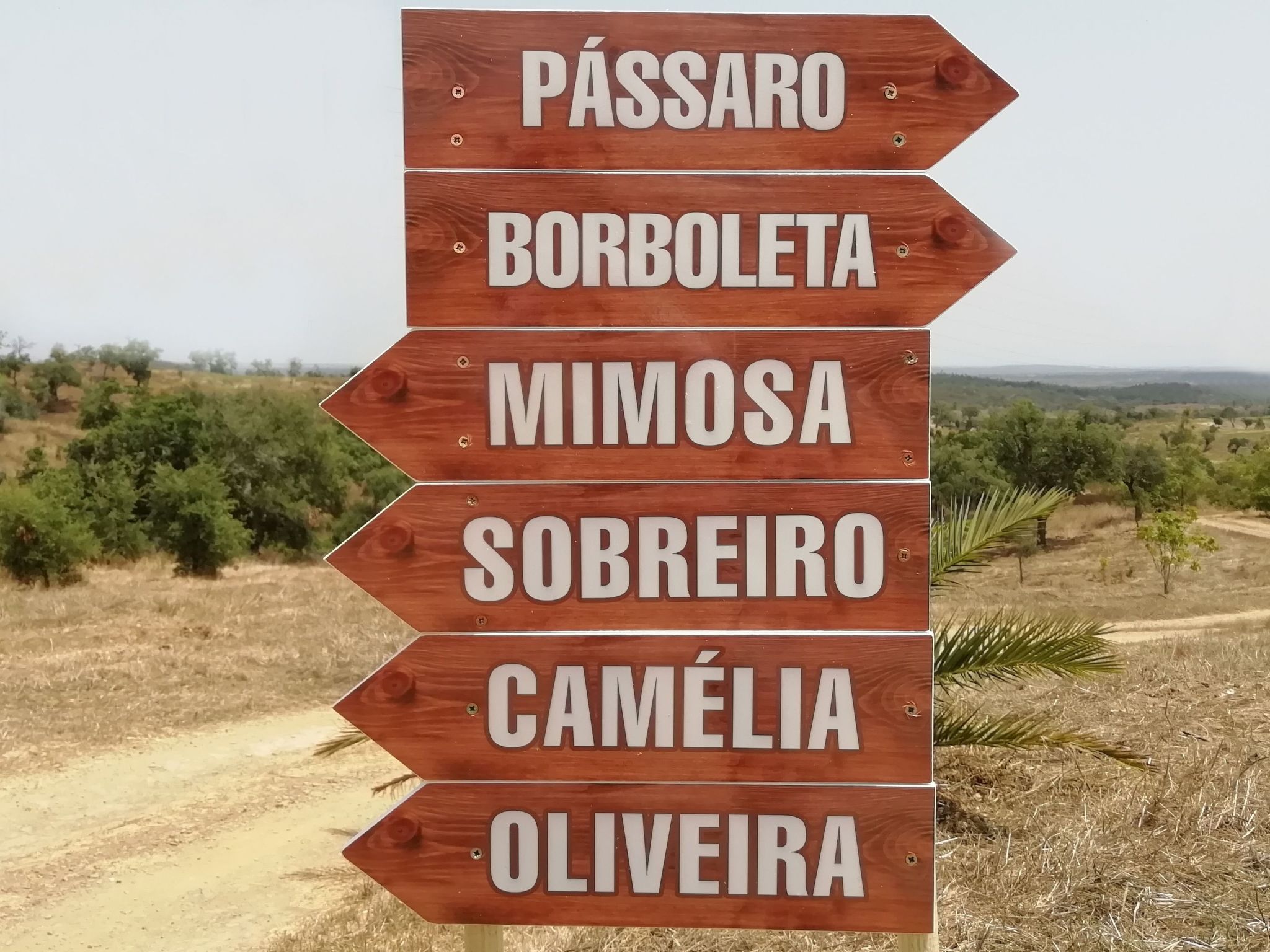 Monte Horizonte Casa Mimosa Öko und Natur-Image-tags.info