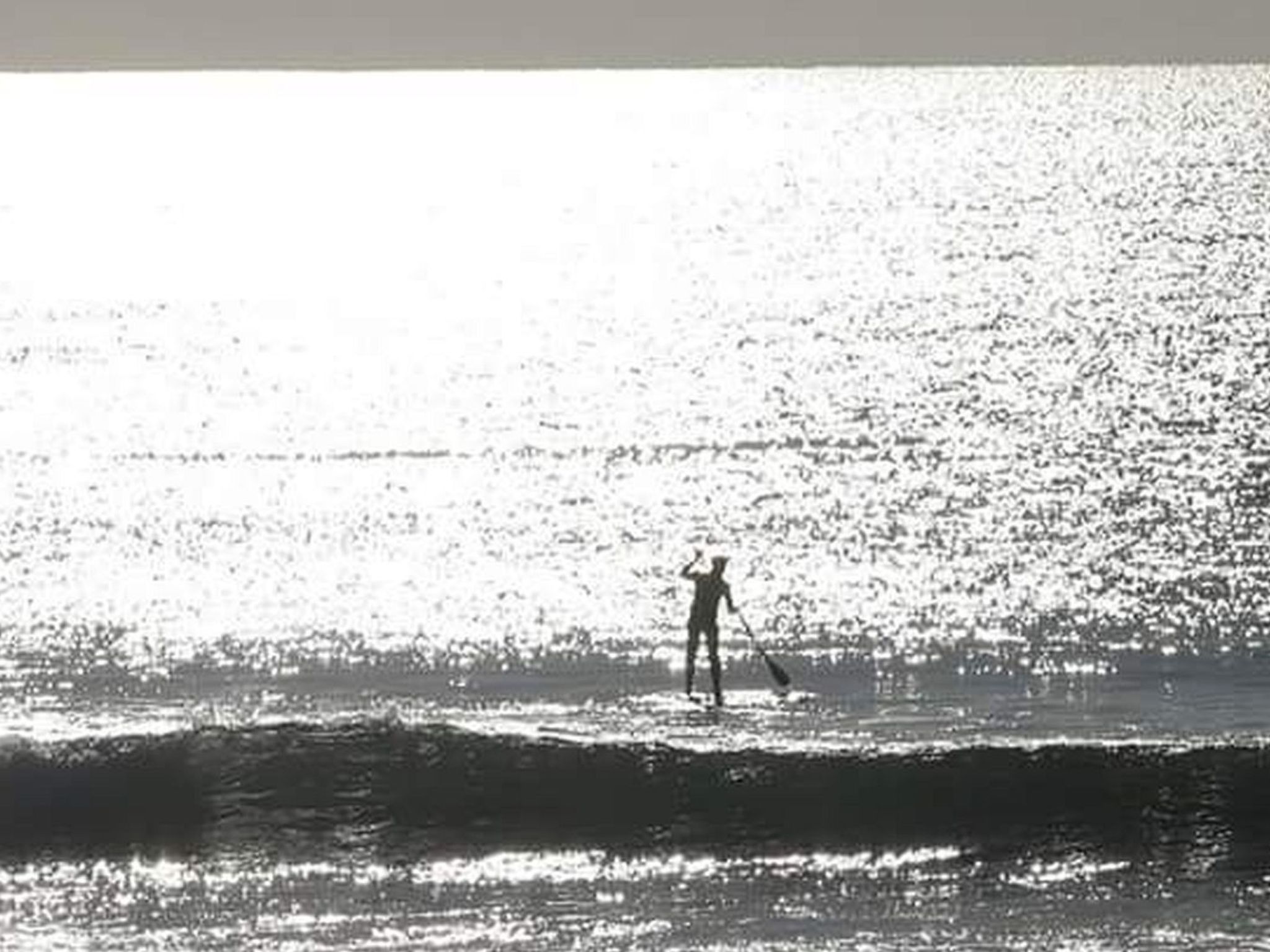 Monte Horizonte Casa Mimosa Öko und Natur-Image-tags.info