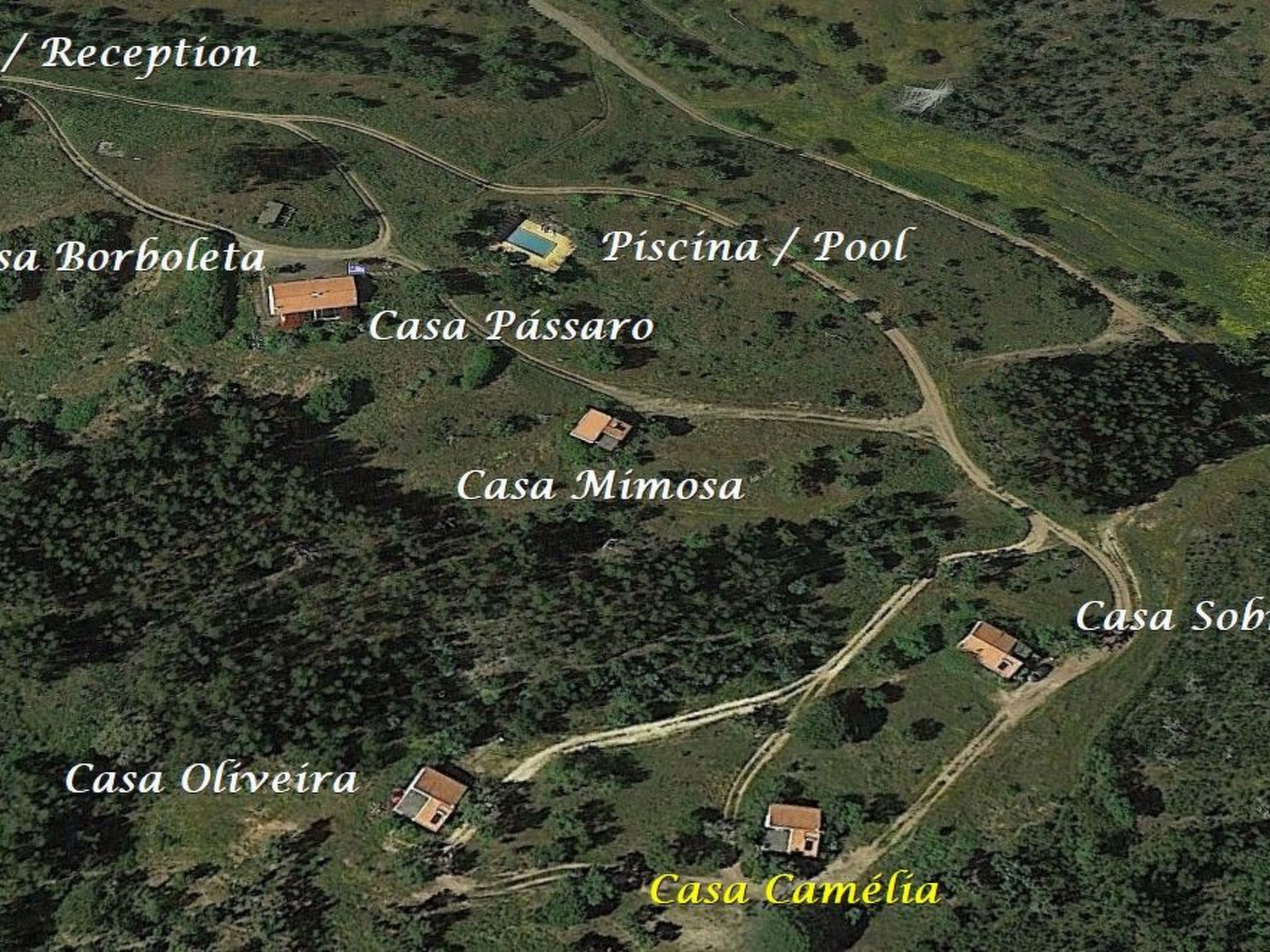 Monte Horizonte Casa Camelia Öko und Natur