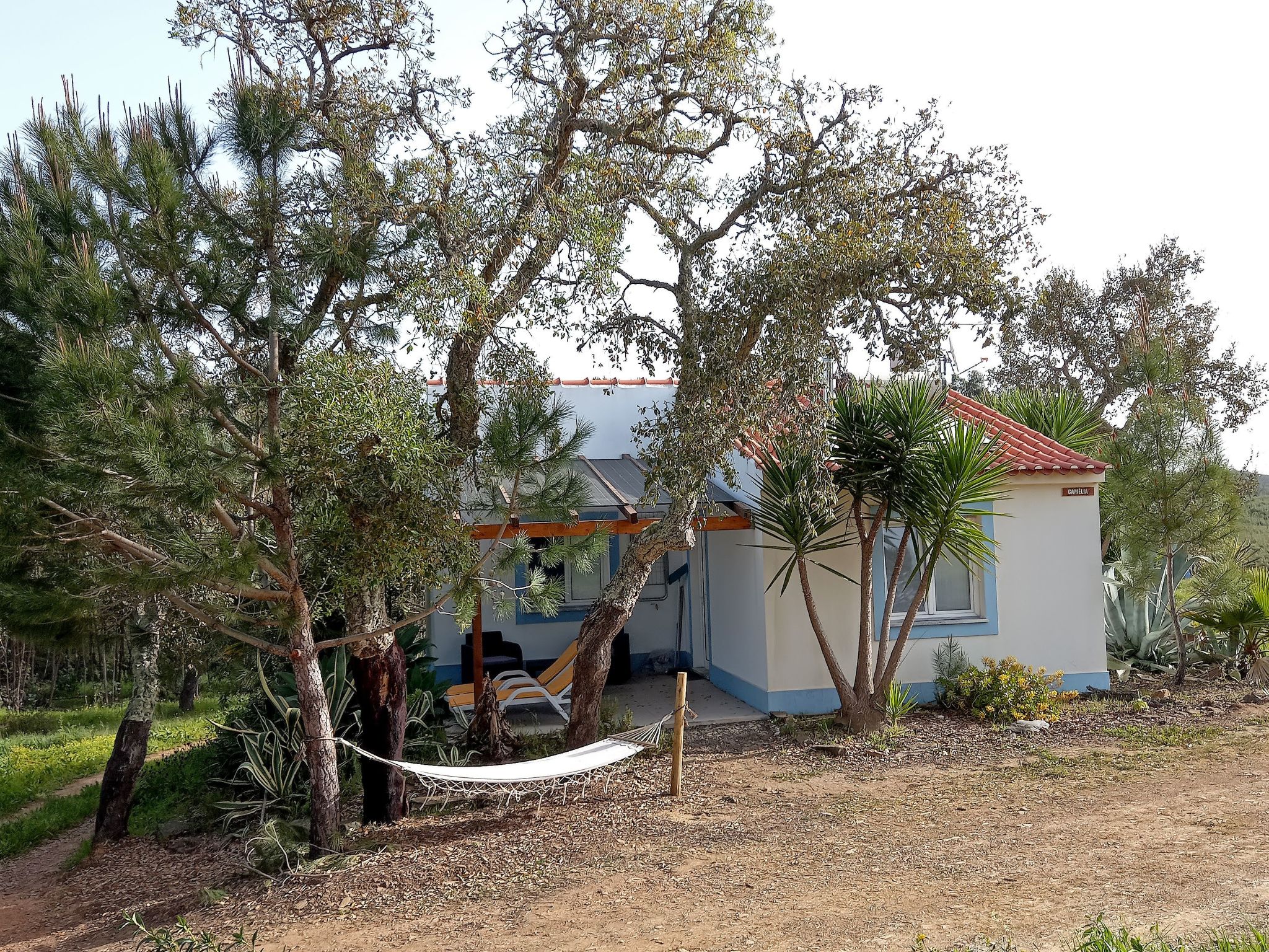 Monte Horizonte Casa Camelia Öko und Natur-Image-tags.info