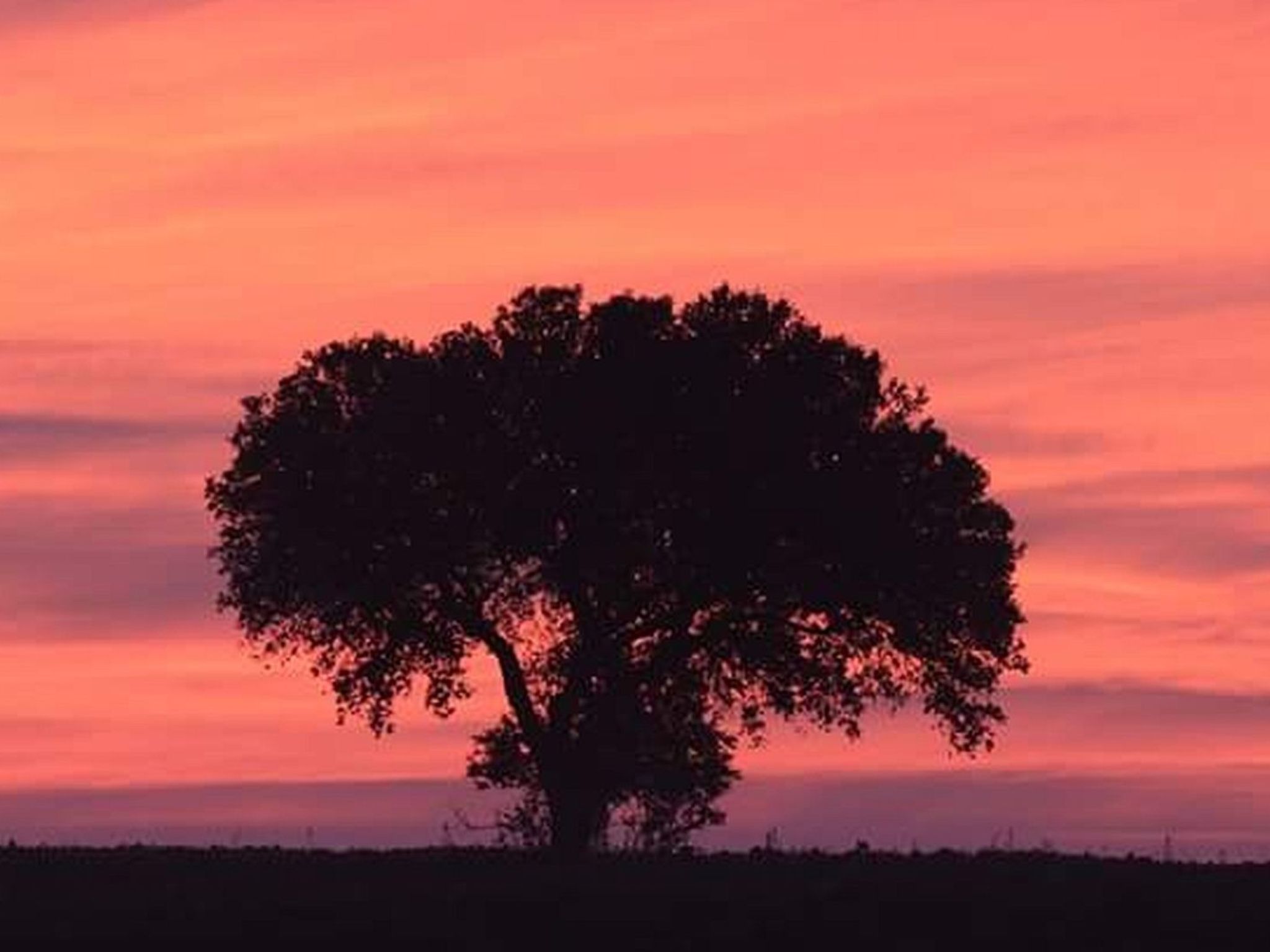 Monte Horizonte Casa Camelia Öko und Natur-Image-tags.info