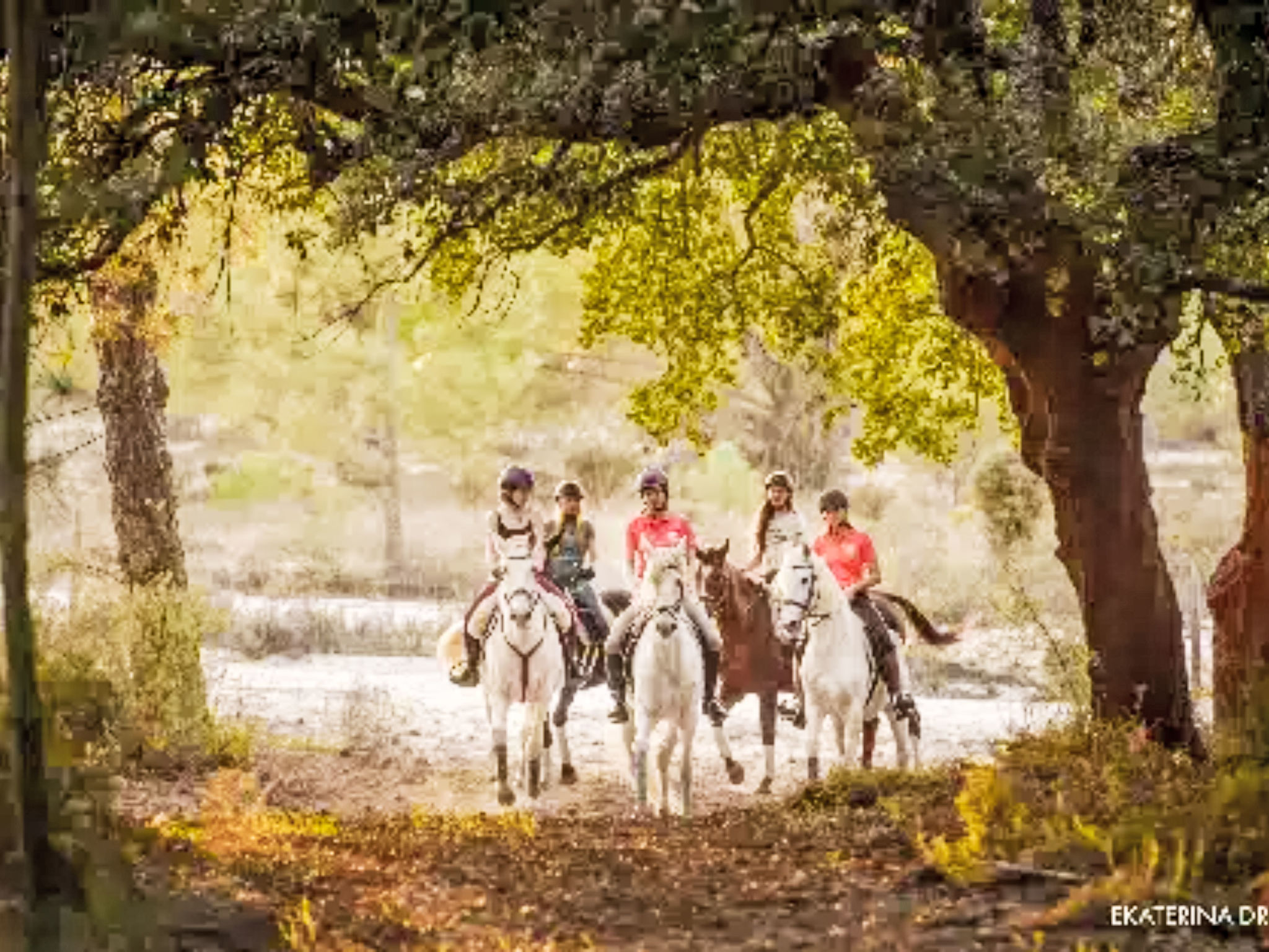 Quinta de Santa Emilia 1-Omgeving