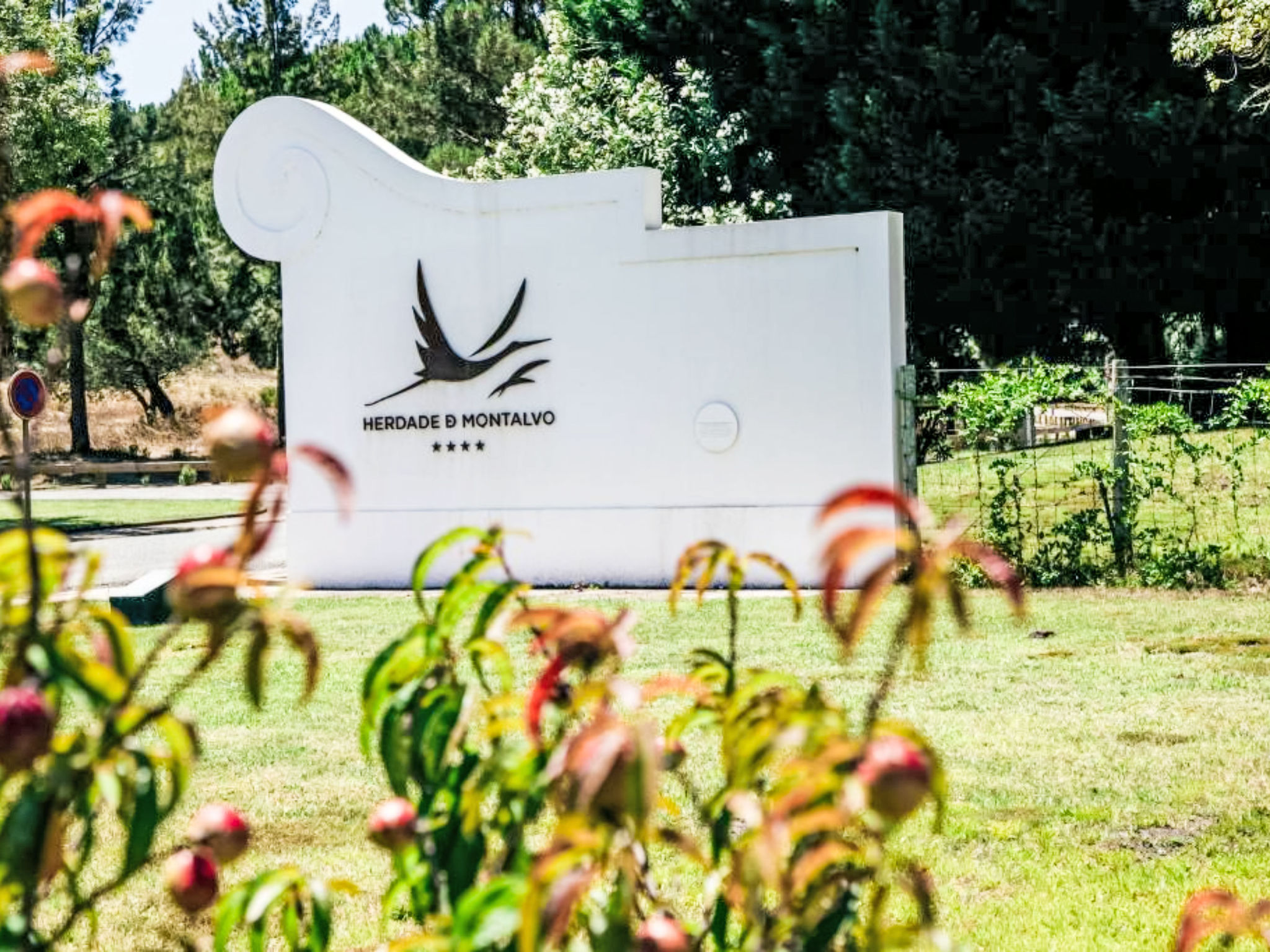Casa das Andorinhas-Omgeving