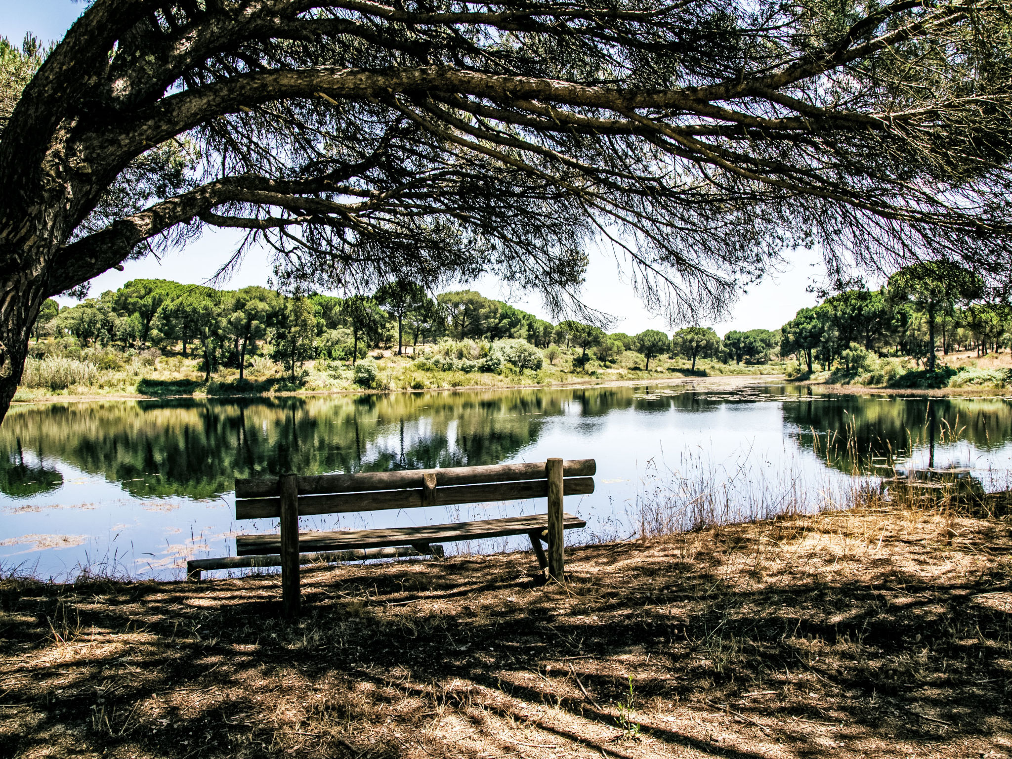Casa das Andorinhas-Omgeving