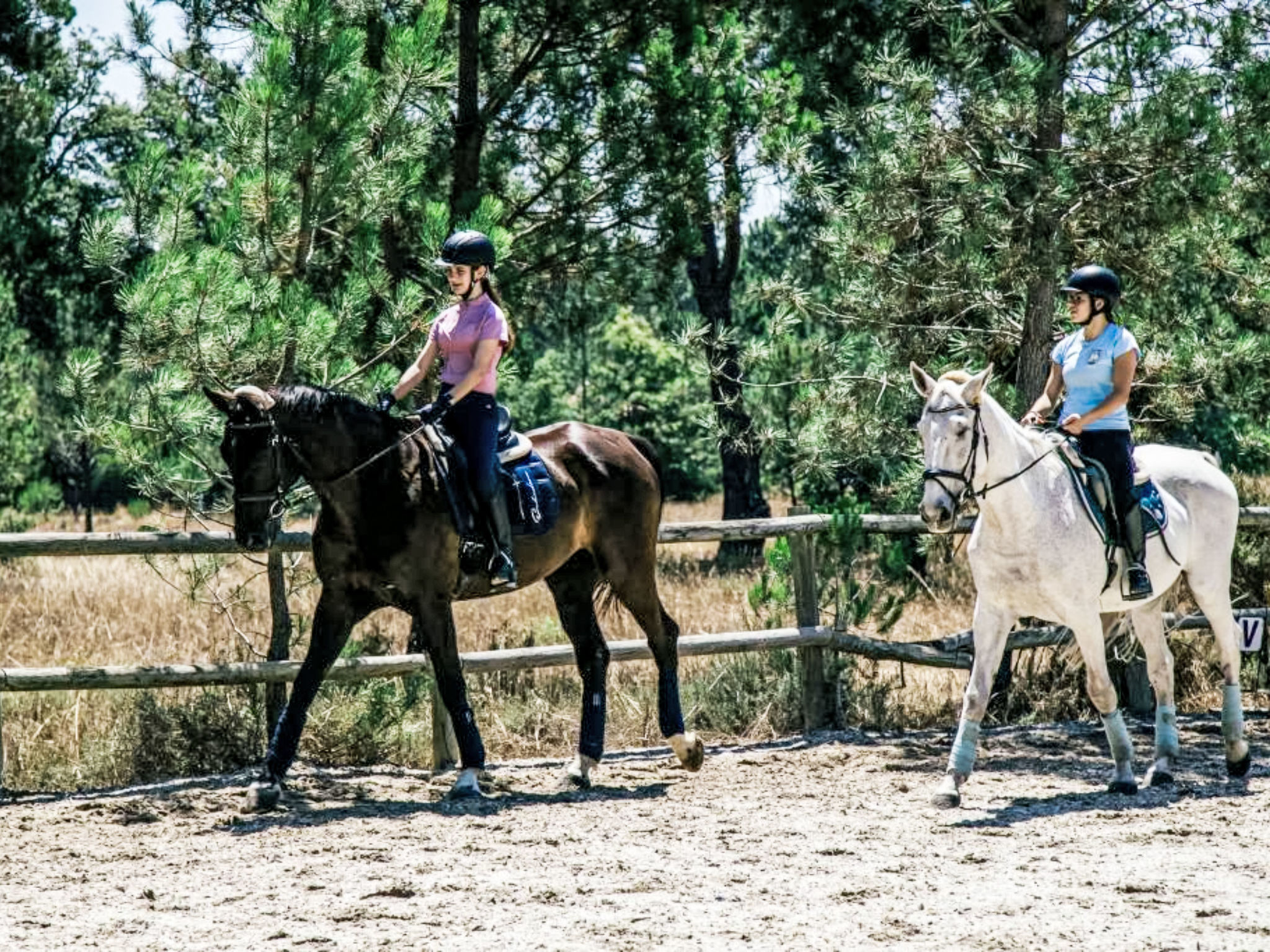 Villa Cegonha-Dehors