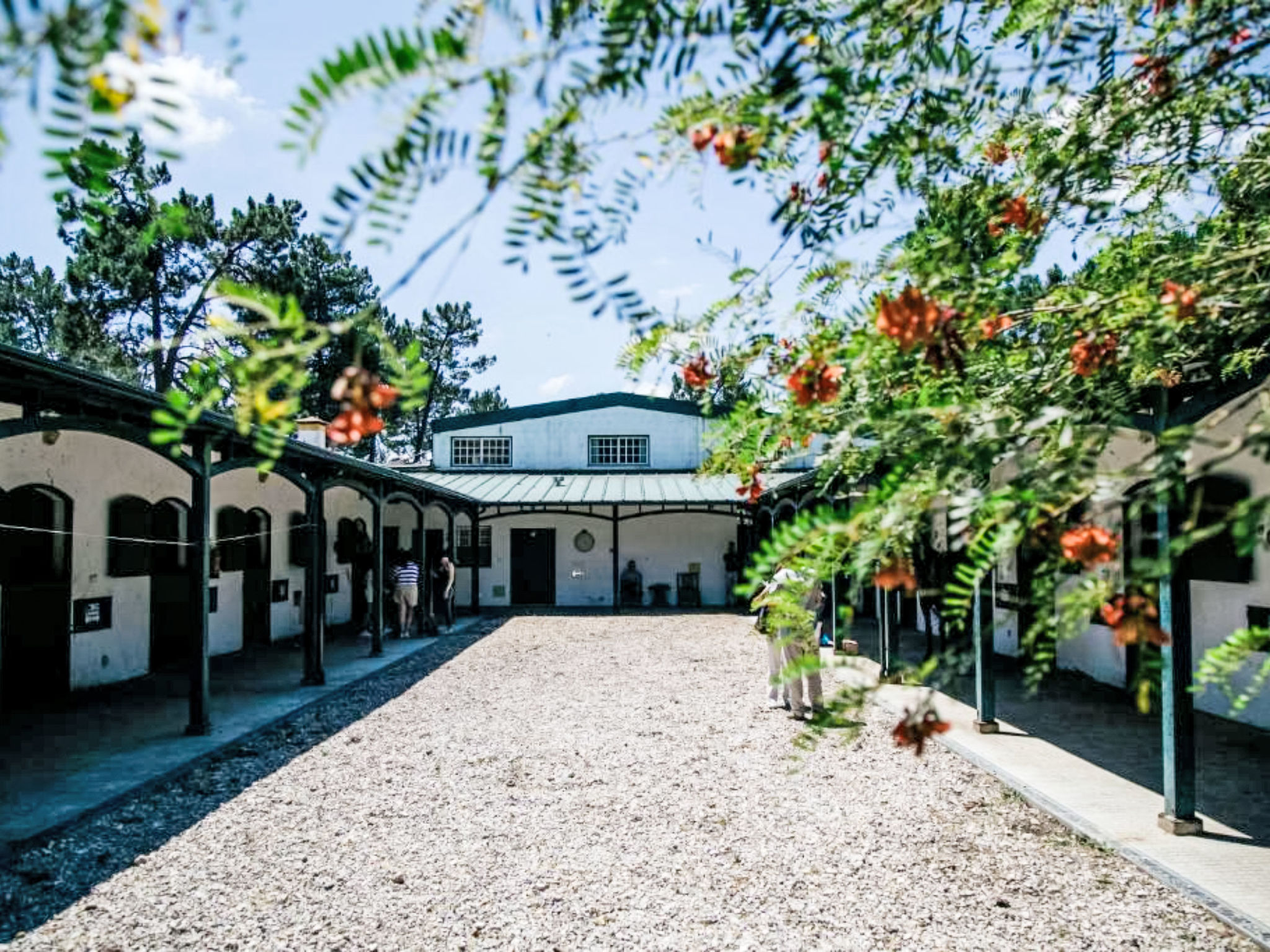 Villa Cegonha-Dehors