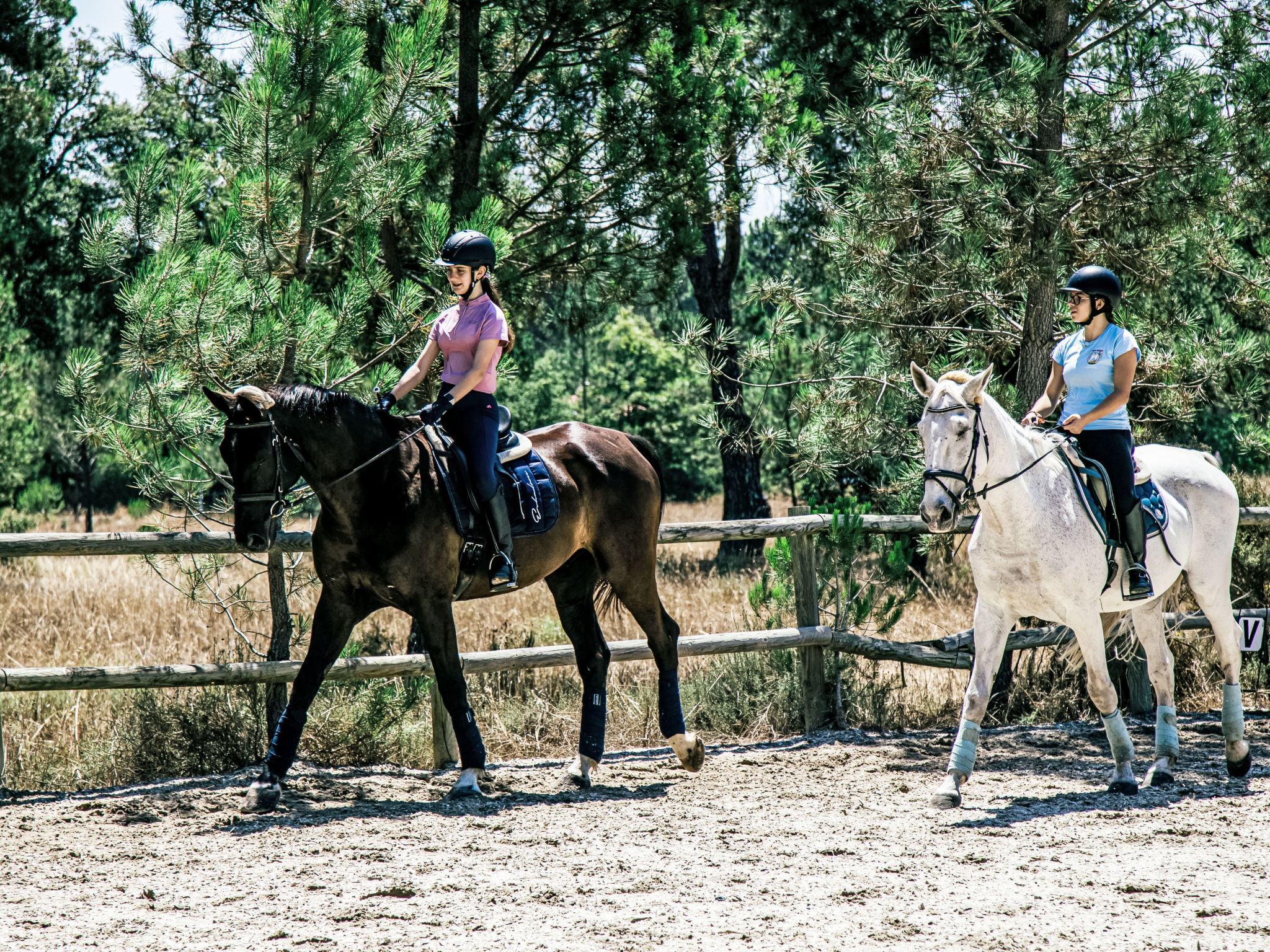Villa Cegonha-Dehors