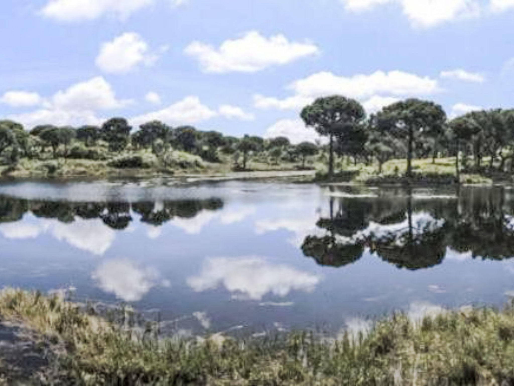 Villa Cegonha-Dehors