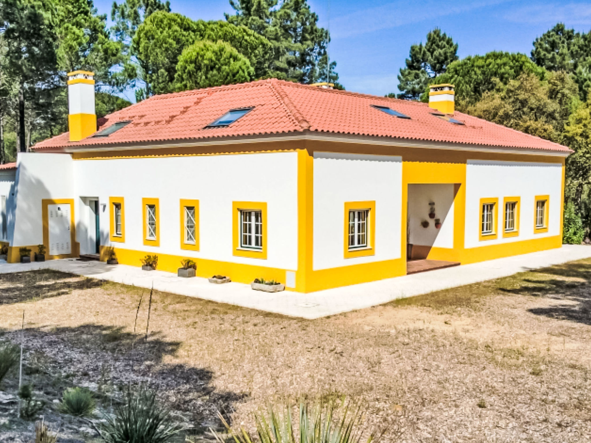 Entre os Pinheiros-Buiten