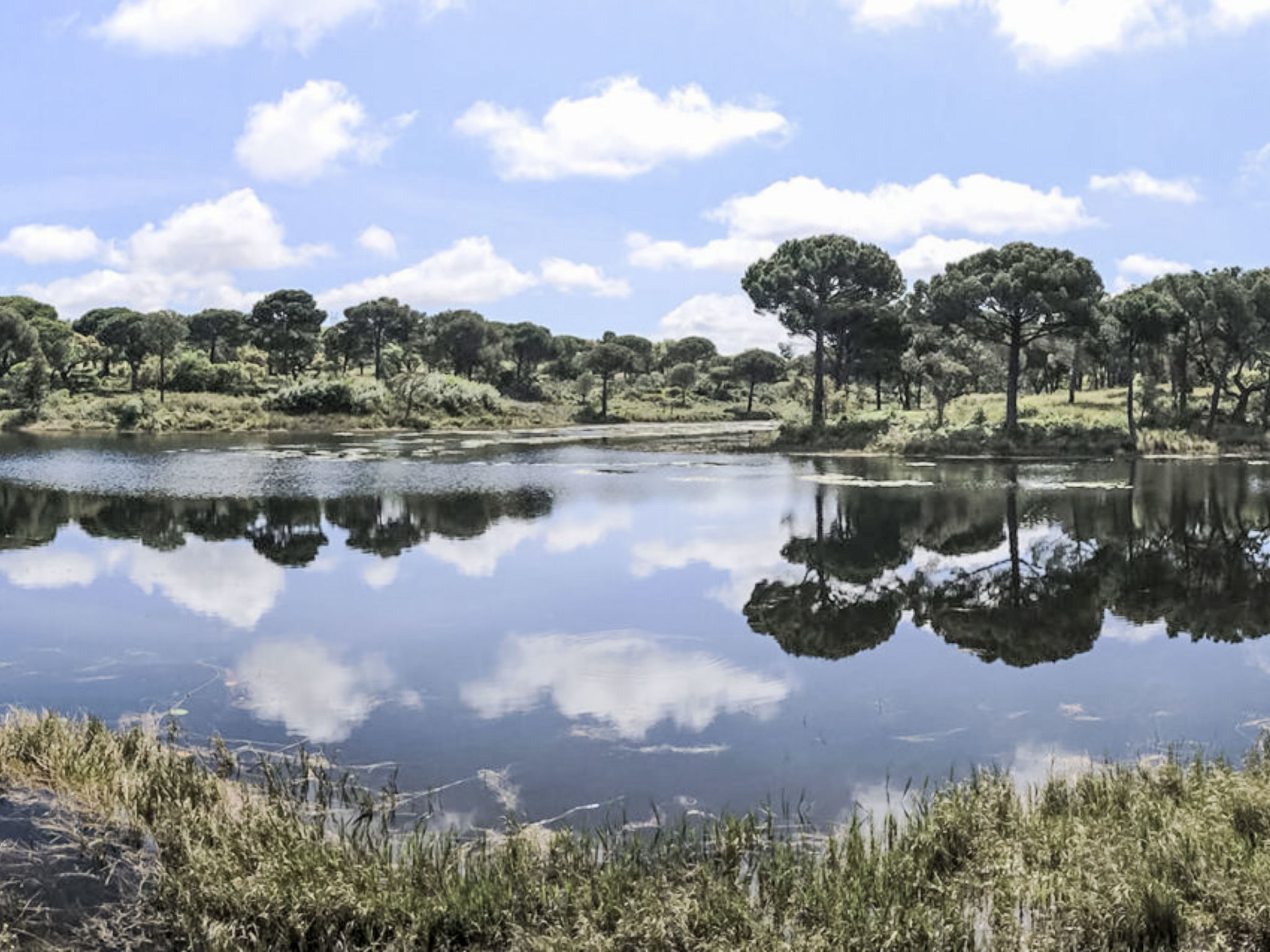 Herdade de Montalvo, Villa 60-Area