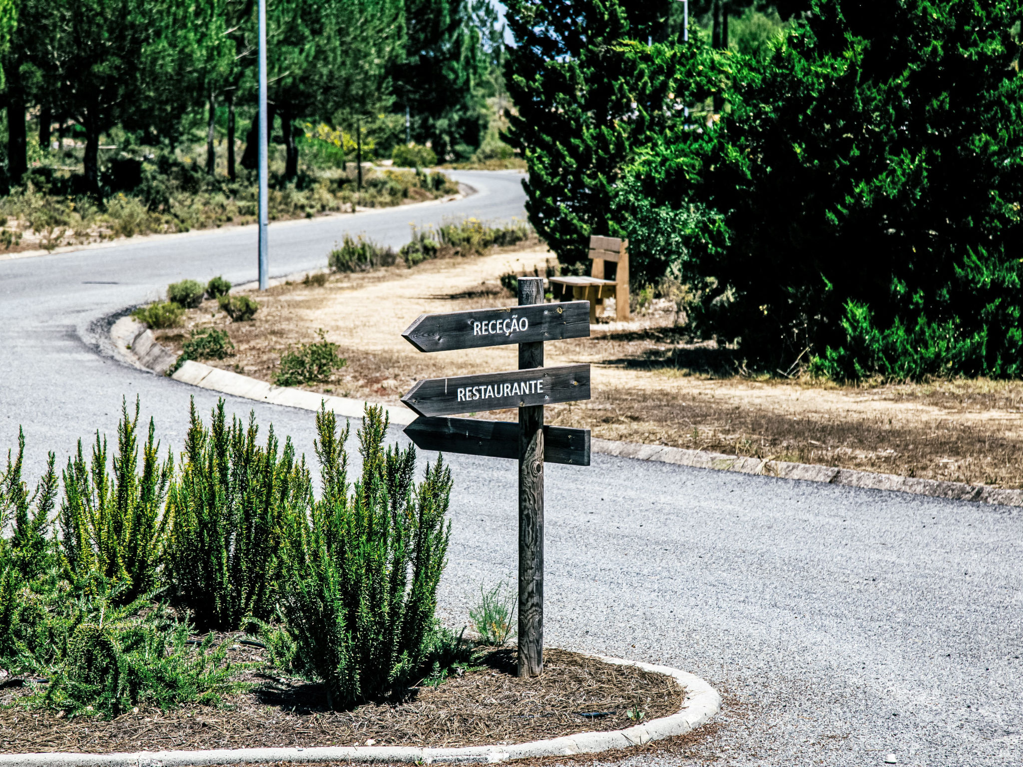 Herdade de Montalvo, Villa 60-Area
