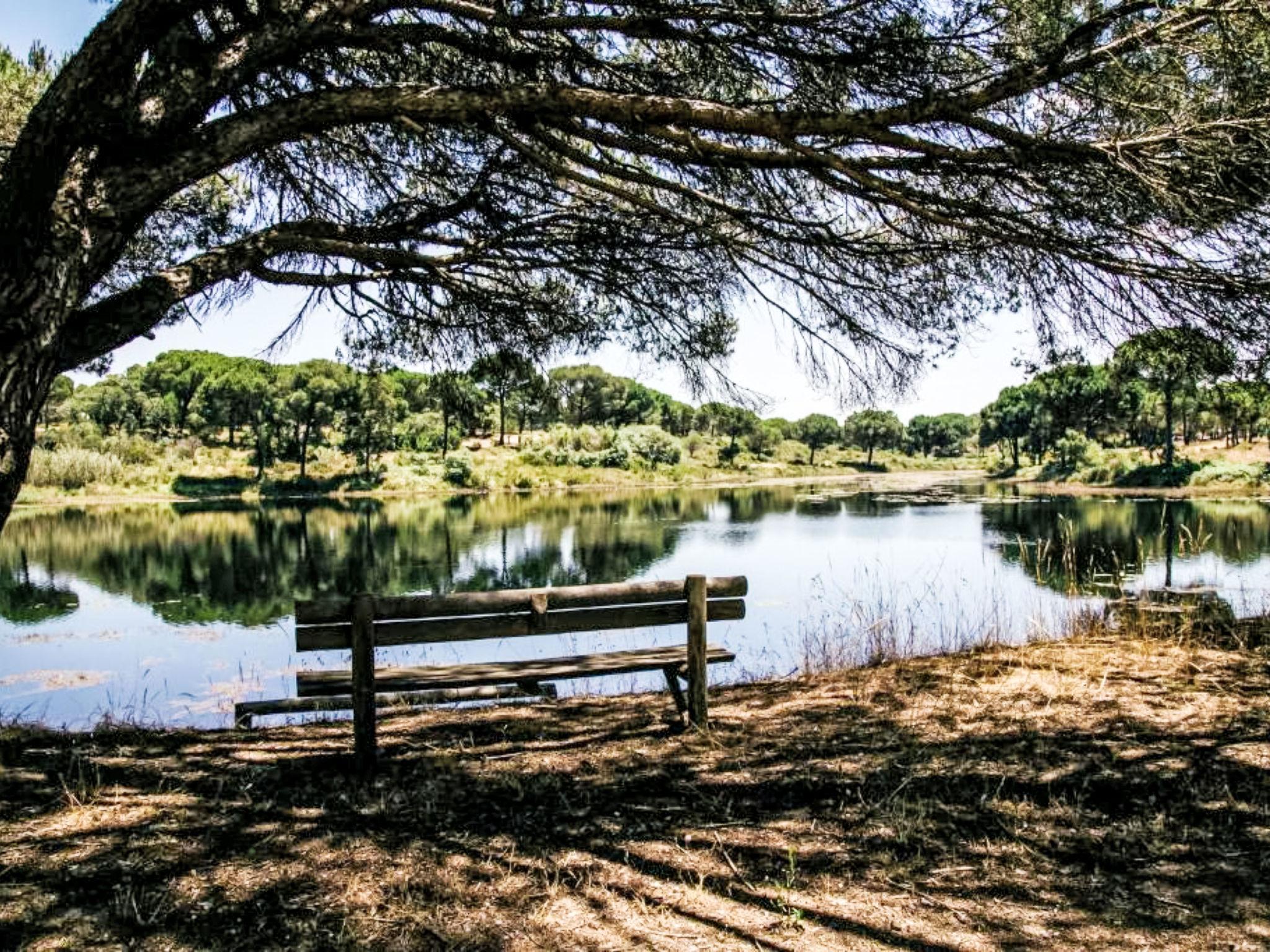 Herdade de Montalvo, Villa 60-Area