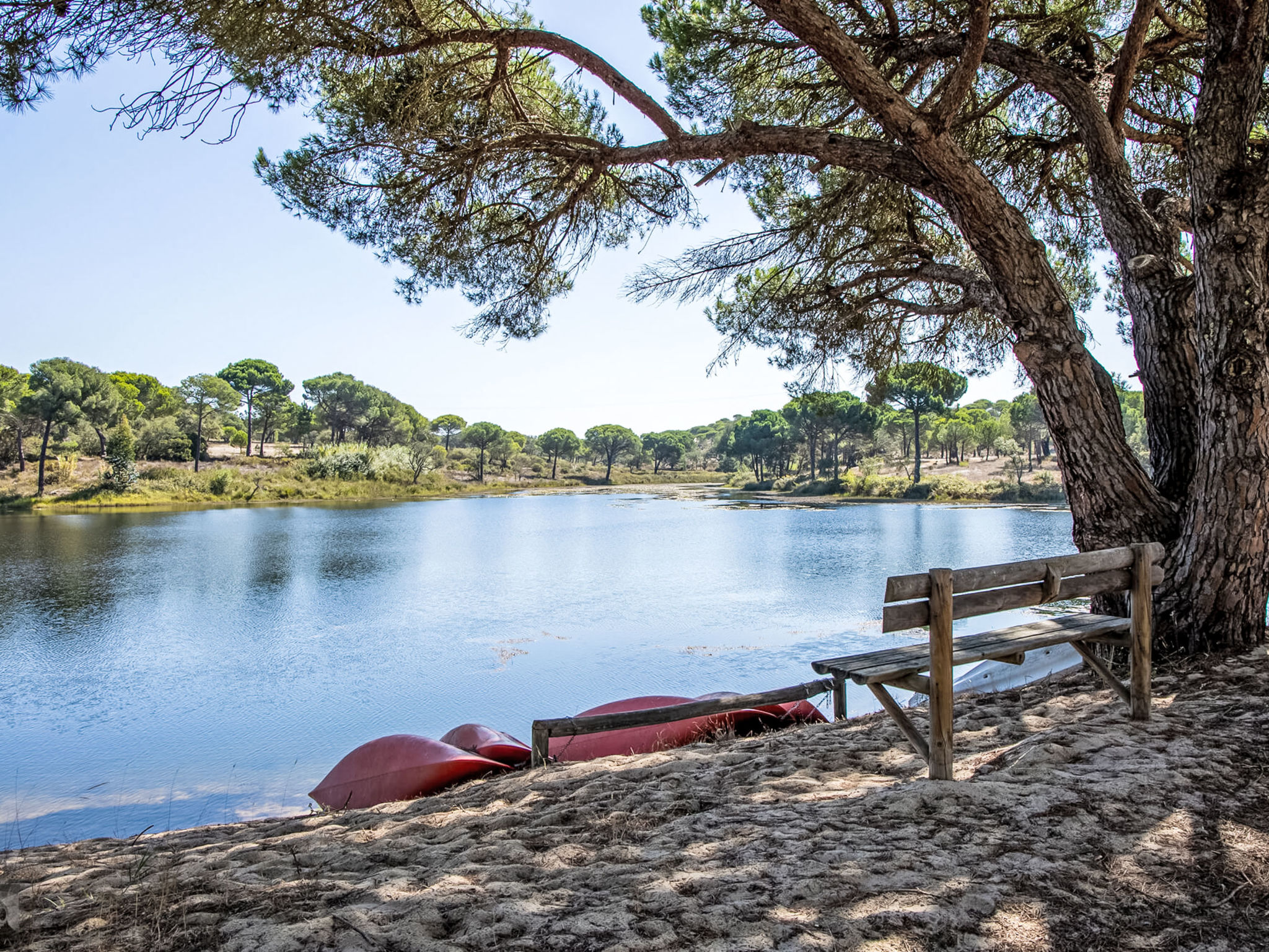 Herdade de Montalvo, Villa 60-Area