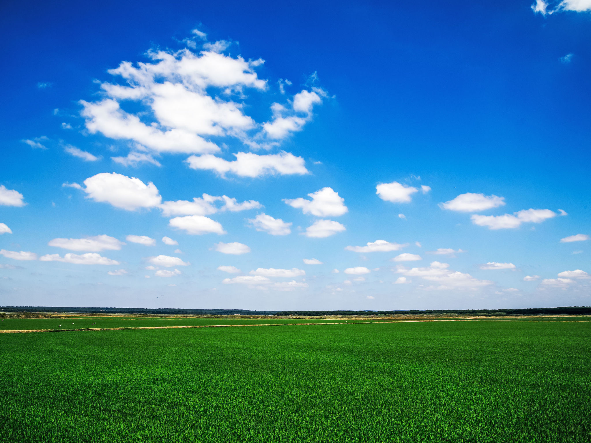 Vista Panorâmica, Herdade de Montalvo-Omgeving