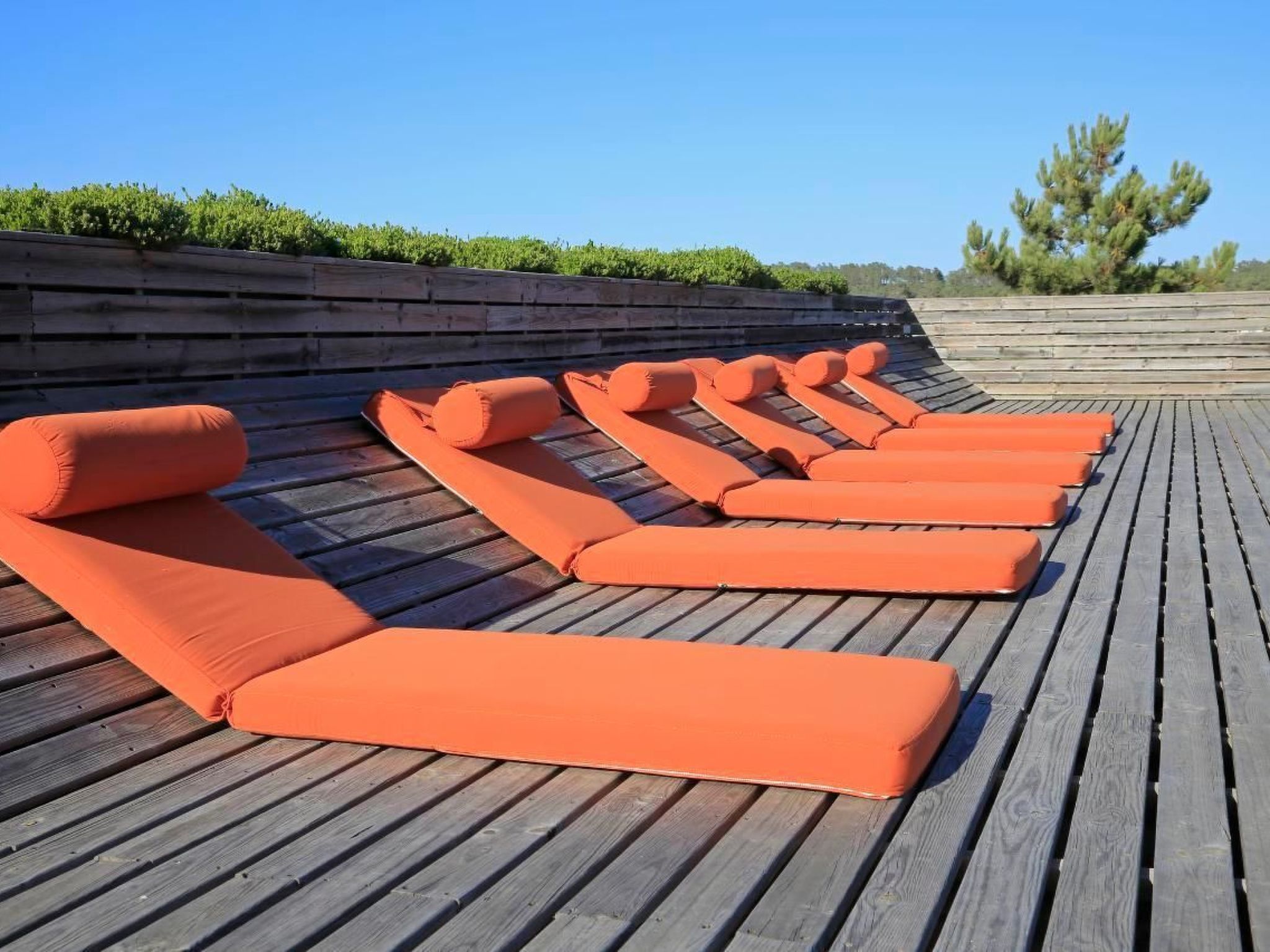 Exklusive Design-Villa in den Dünen, Pool auf dem Dach