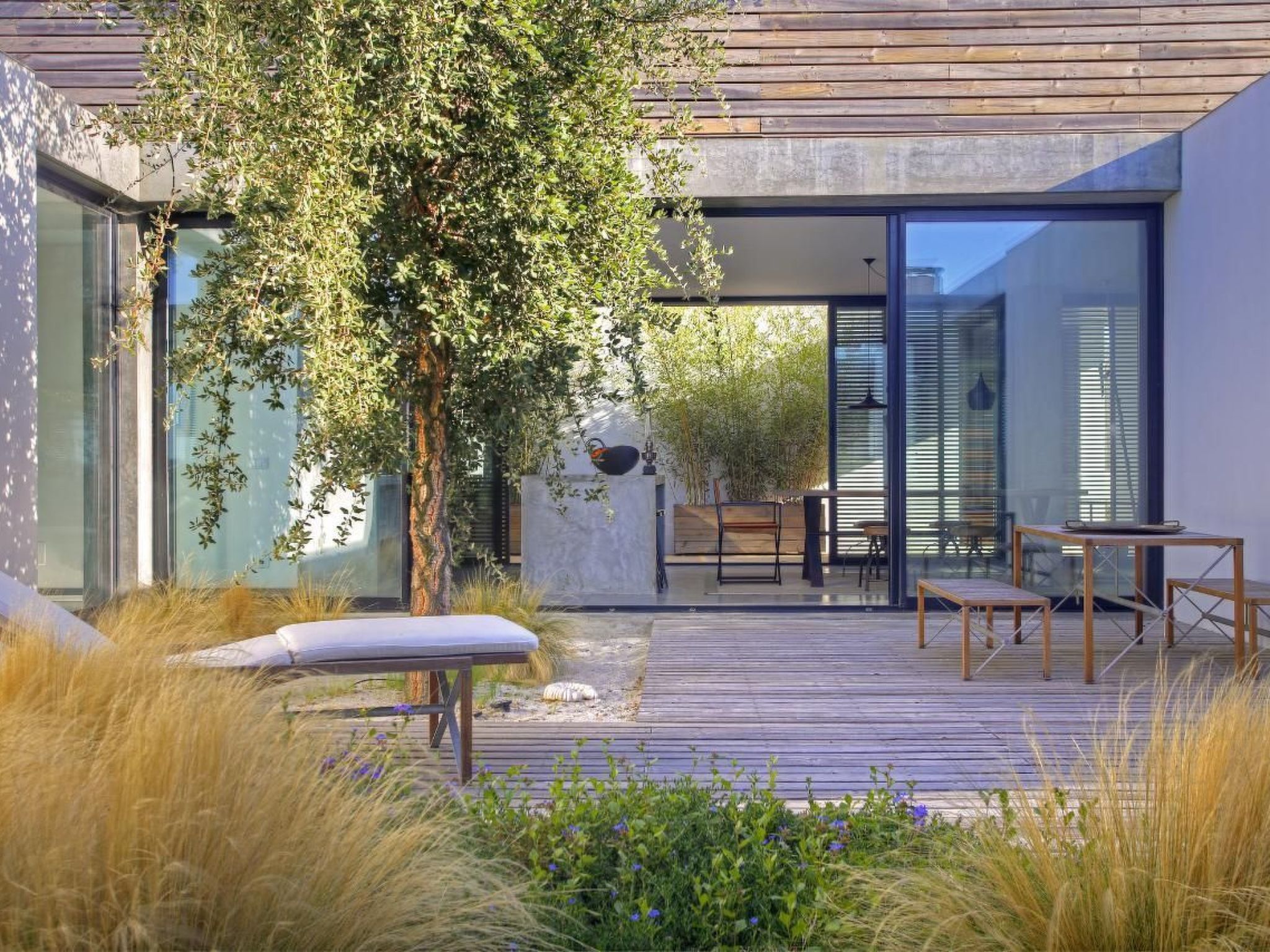 Exklusive Design-Villa in den Dünen, Pool auf dem Dach-Image-tags.info