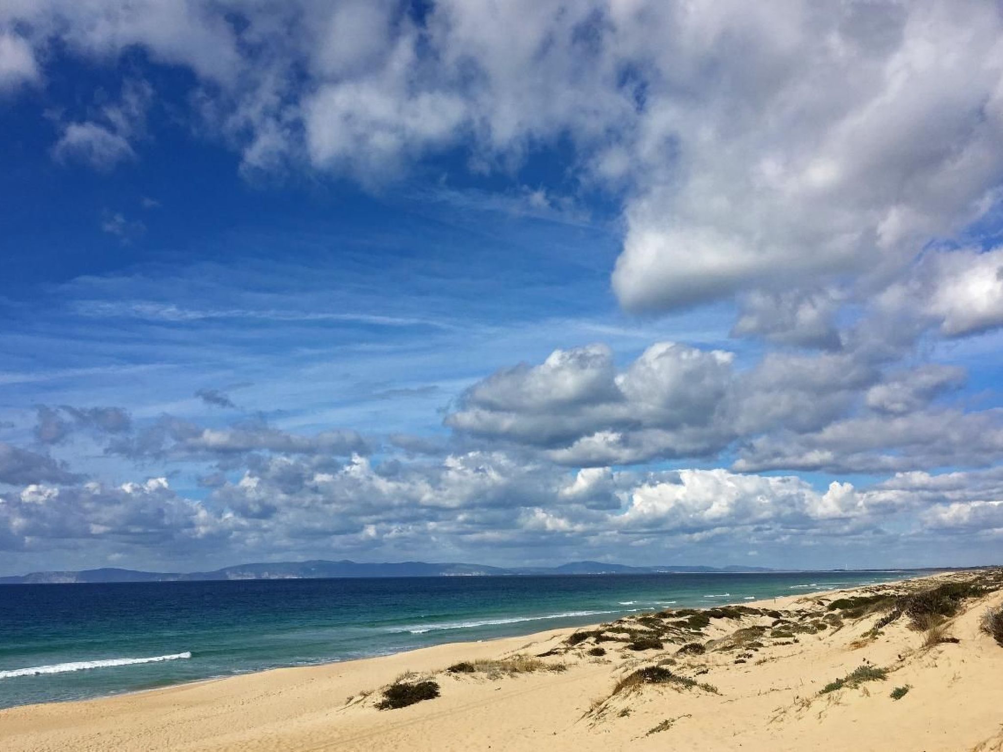 Exklusive Design-Villa in den Dünen, Pool auf dem Dach-Buiten