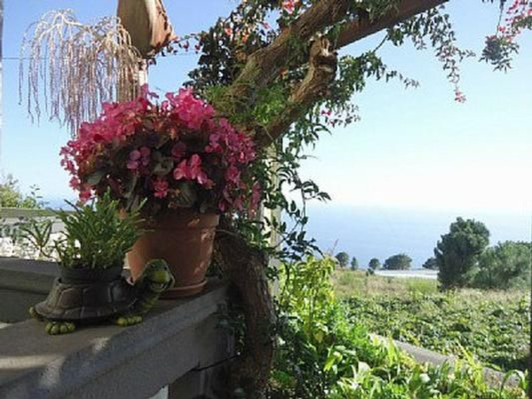 Schönes Ferienhaus in Prazeres-Drinnen