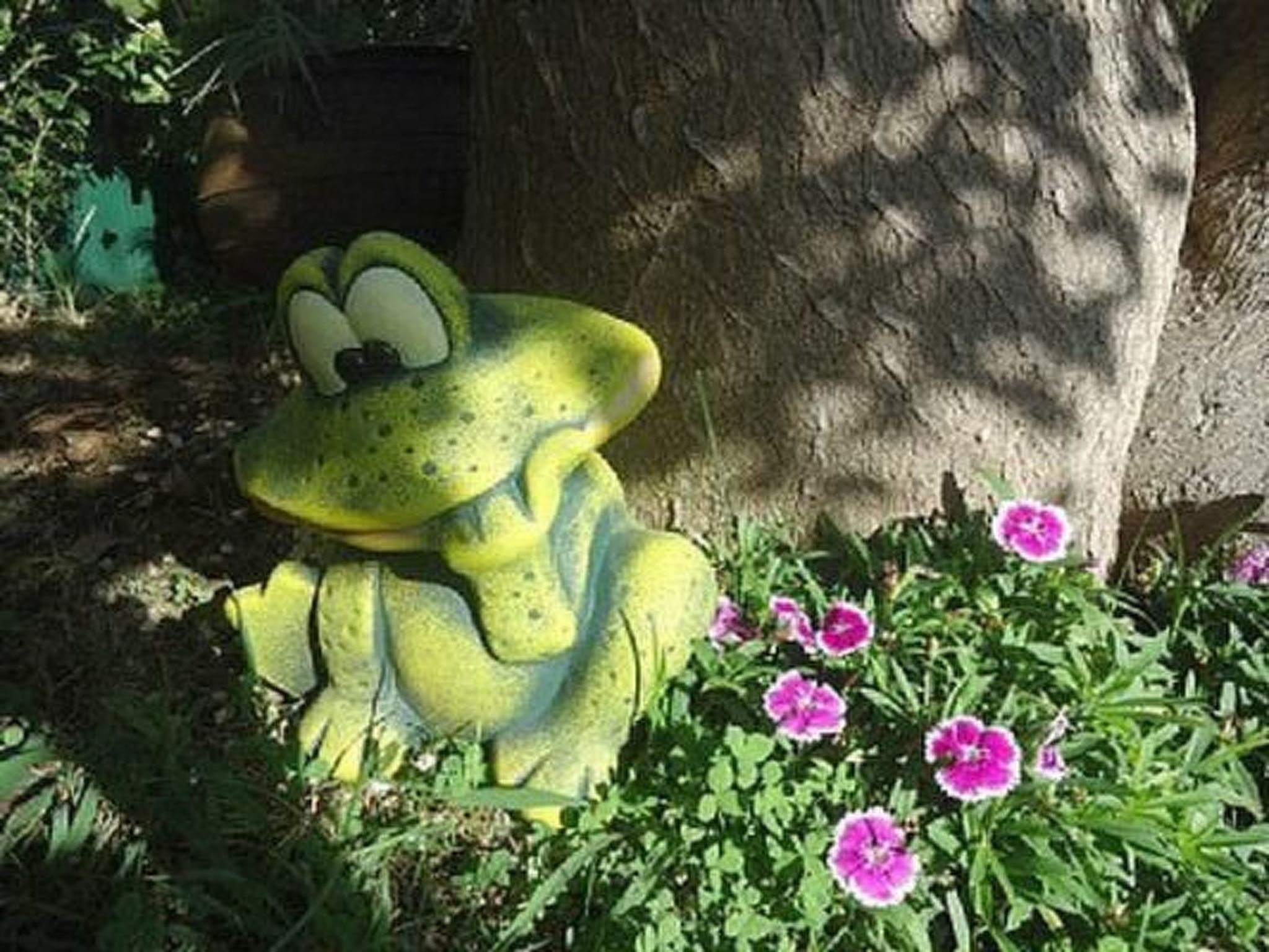 Schönes Ferienhaus in Prazeres-Drinnen