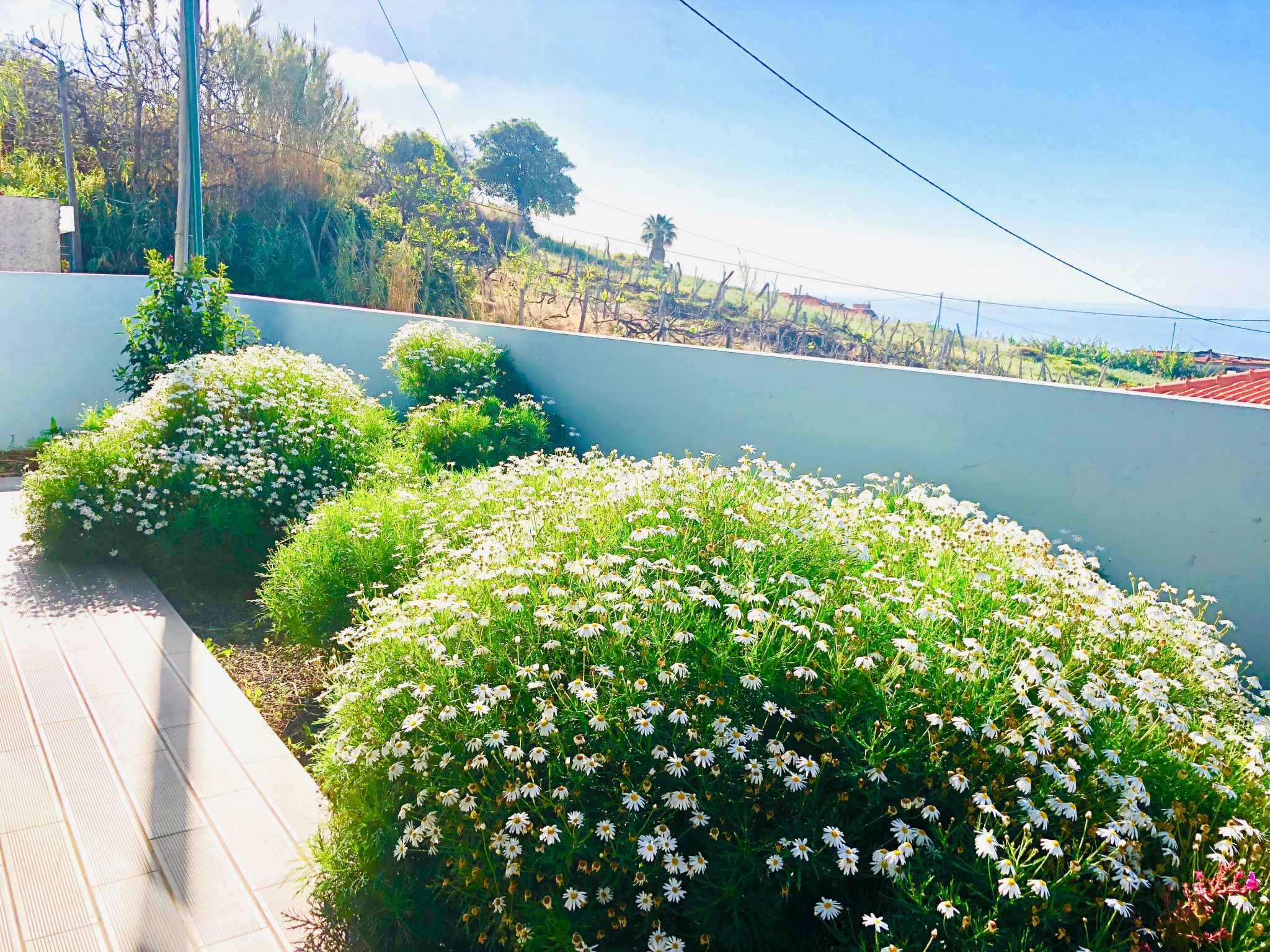 "Villa Pinheira II"-Drinnen