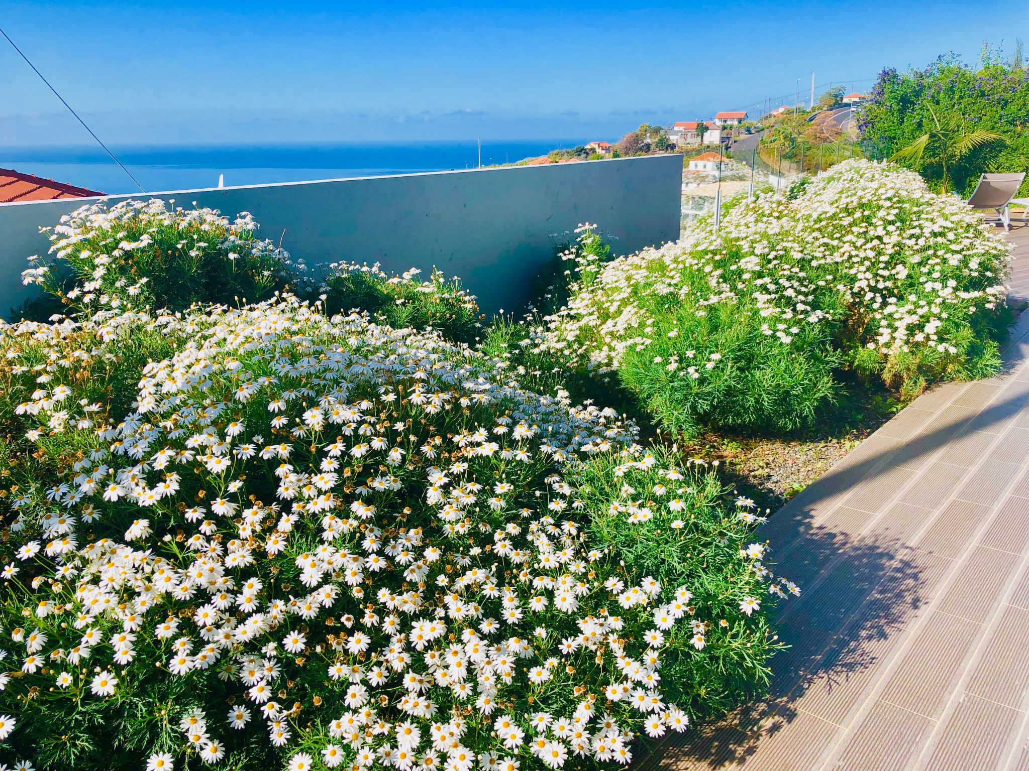 "Villa Pinheira II"-Drinnen