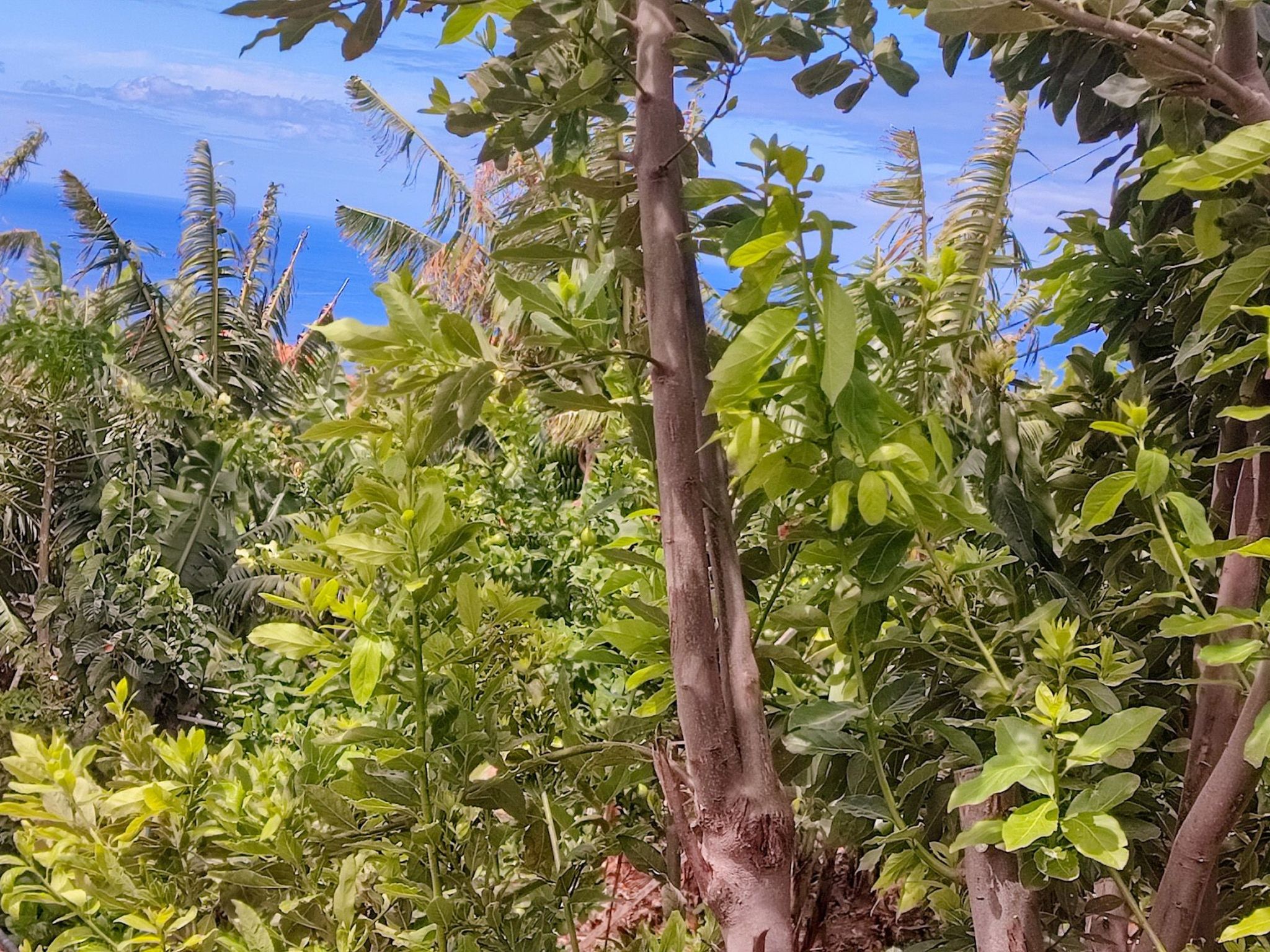 Typische Bauernhof-Wohnung-Binnen