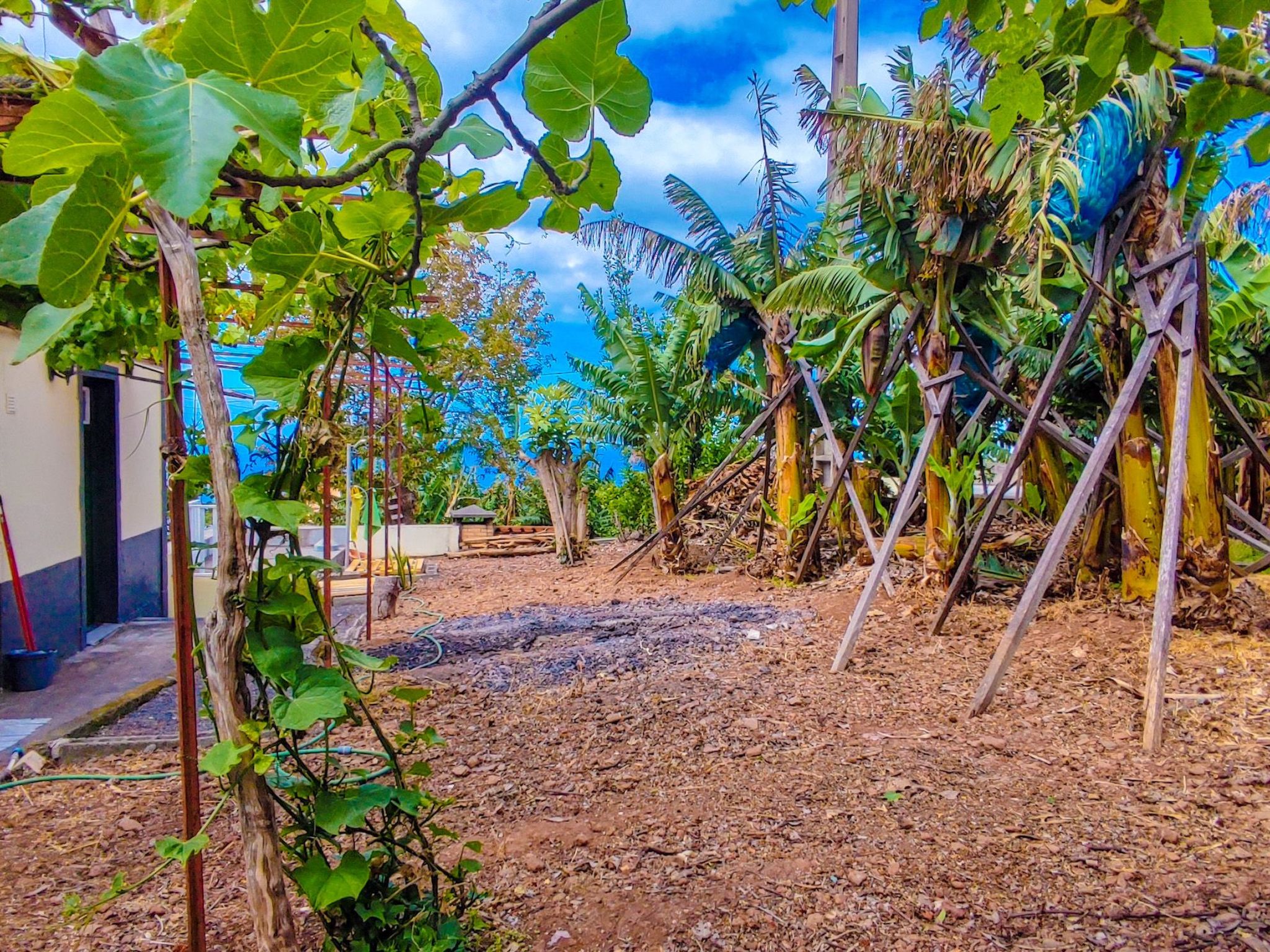 Typische Bauernhof-Wohnung-Binnen