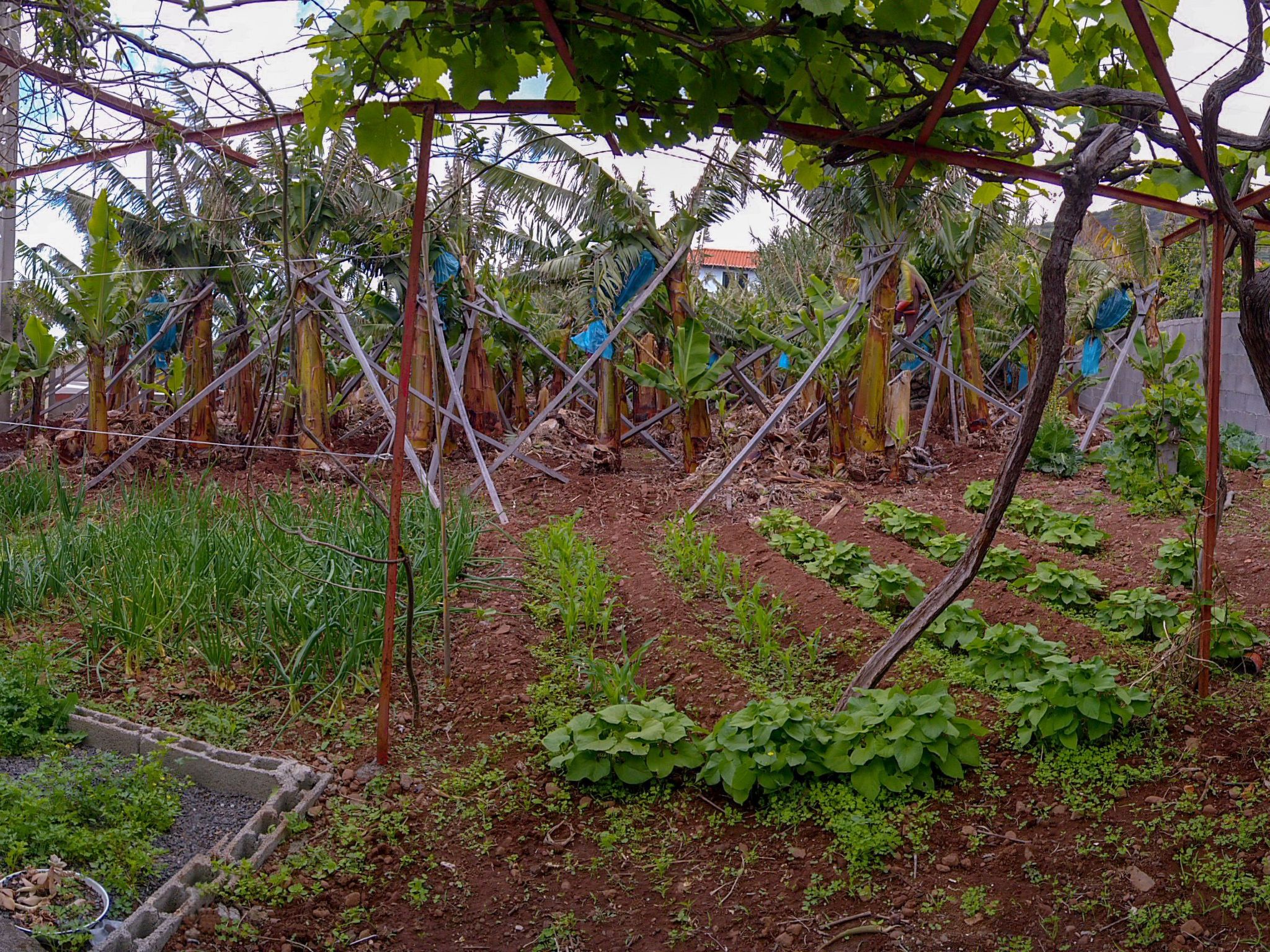 Typische Bauernhof-Wohnung-Binnen