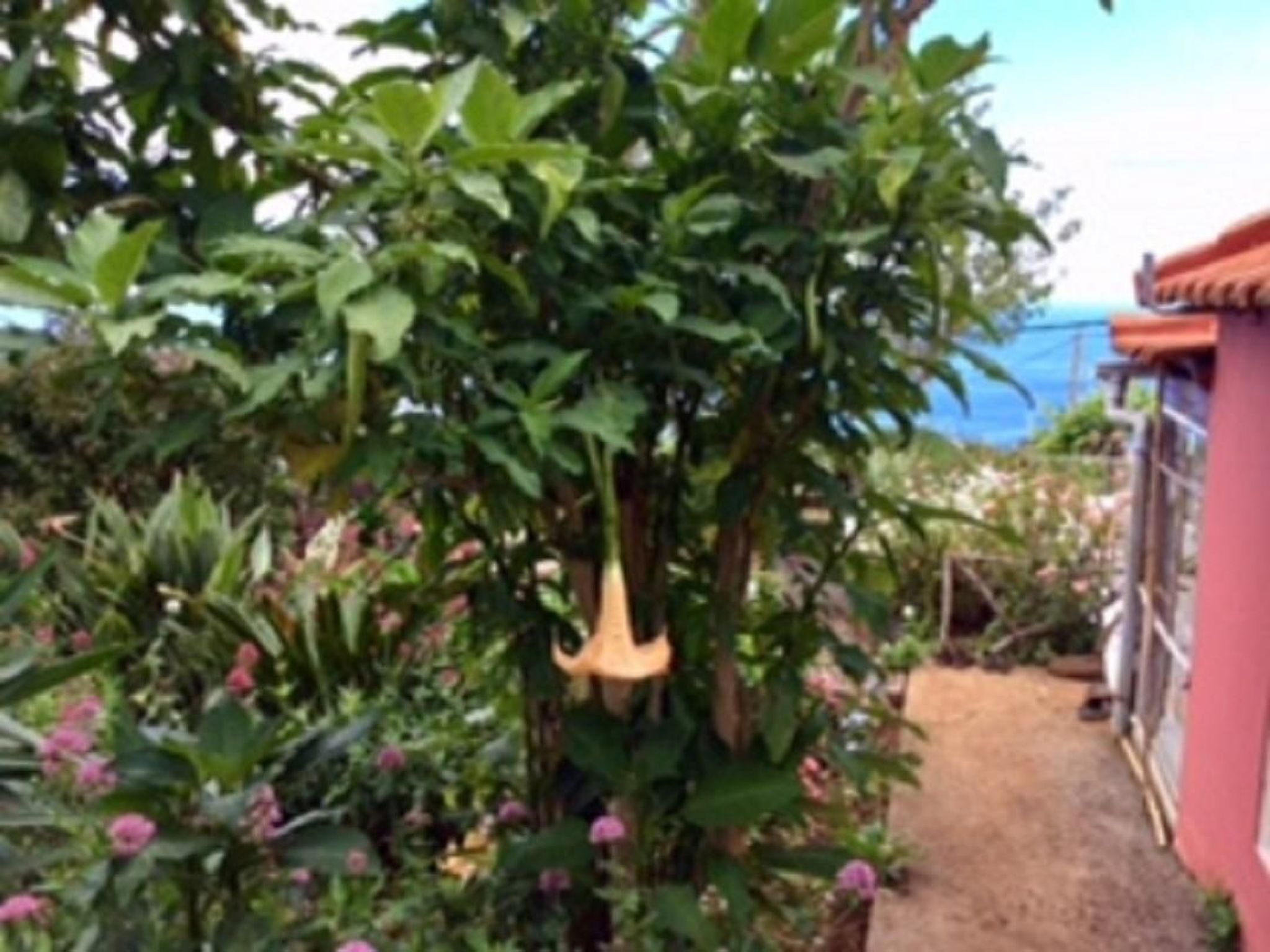 Klein-Norwegen-Binnen