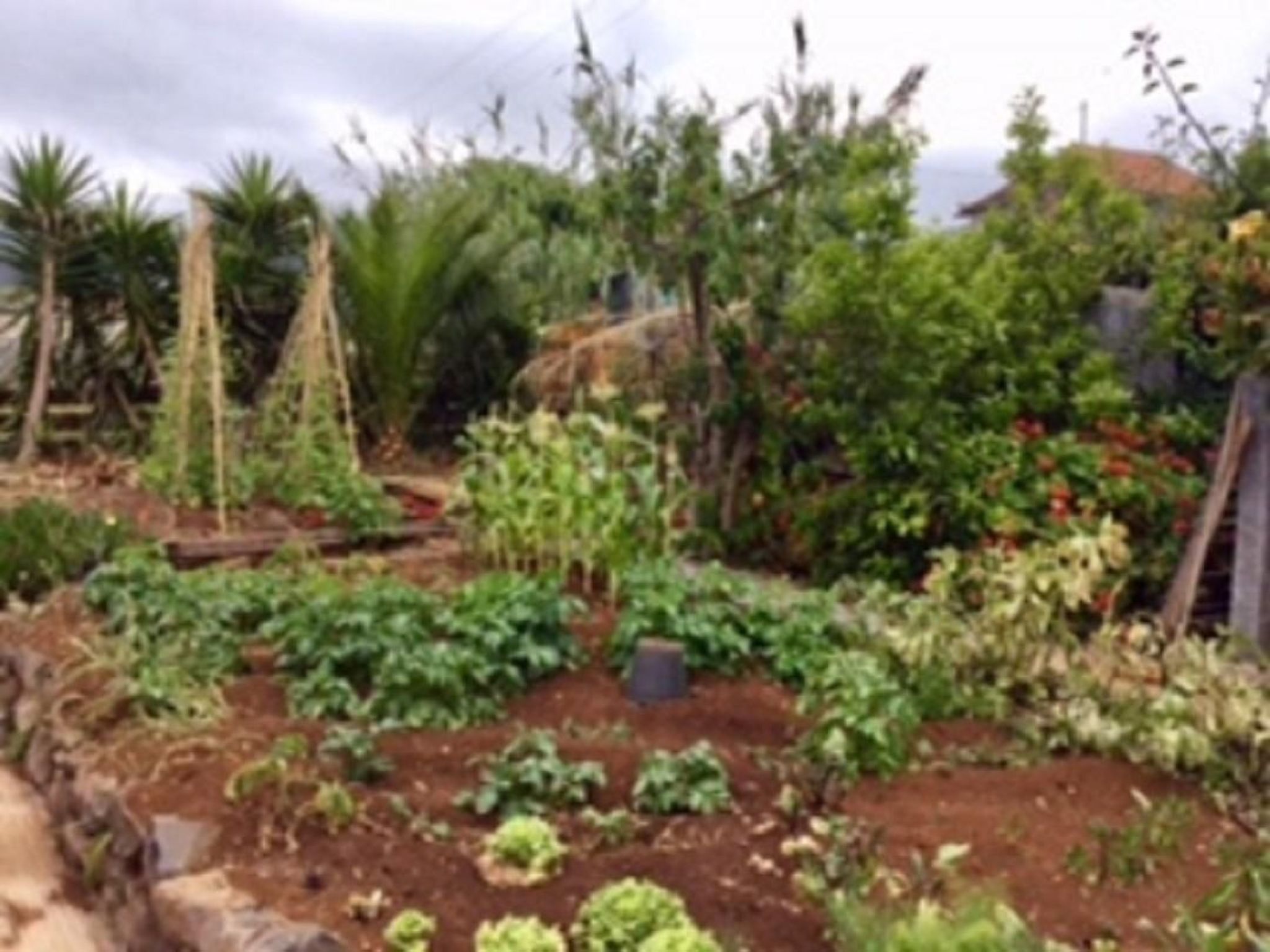 Klein-Norwegen-Binnen