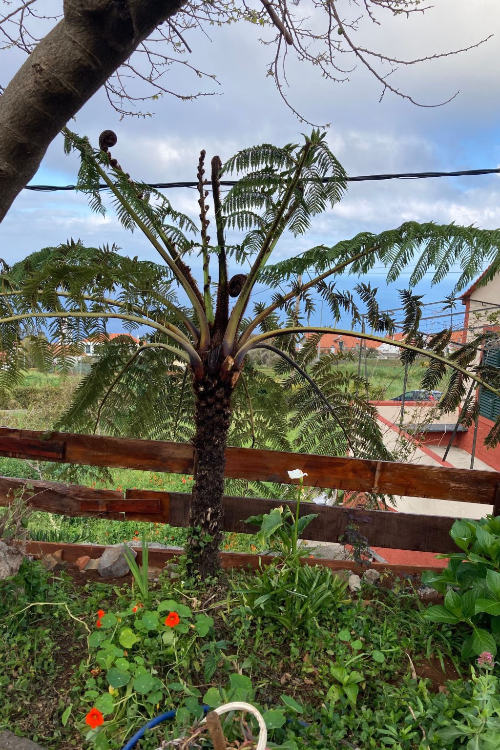 Klein-Norwegen-Binnen