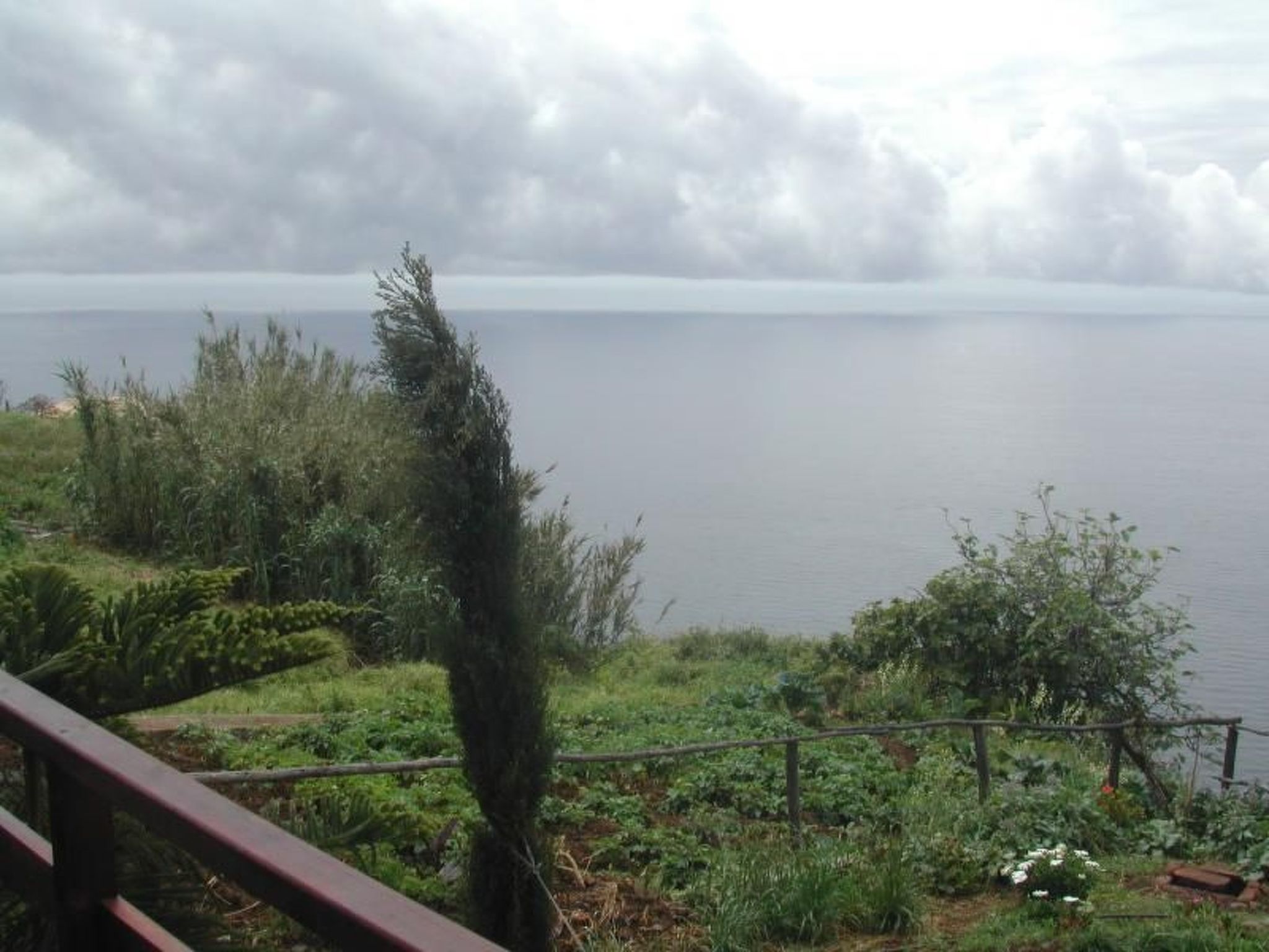 In Canhas mit Schönem Garten-Binnen