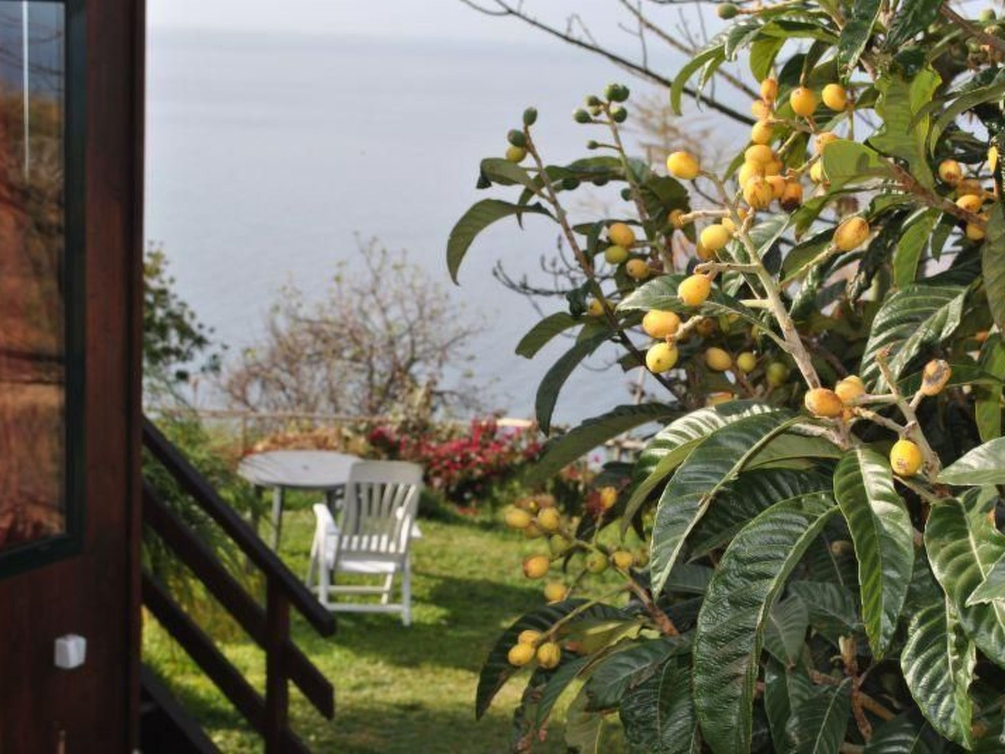 In Canhas mit Schönem Garten-Binnen