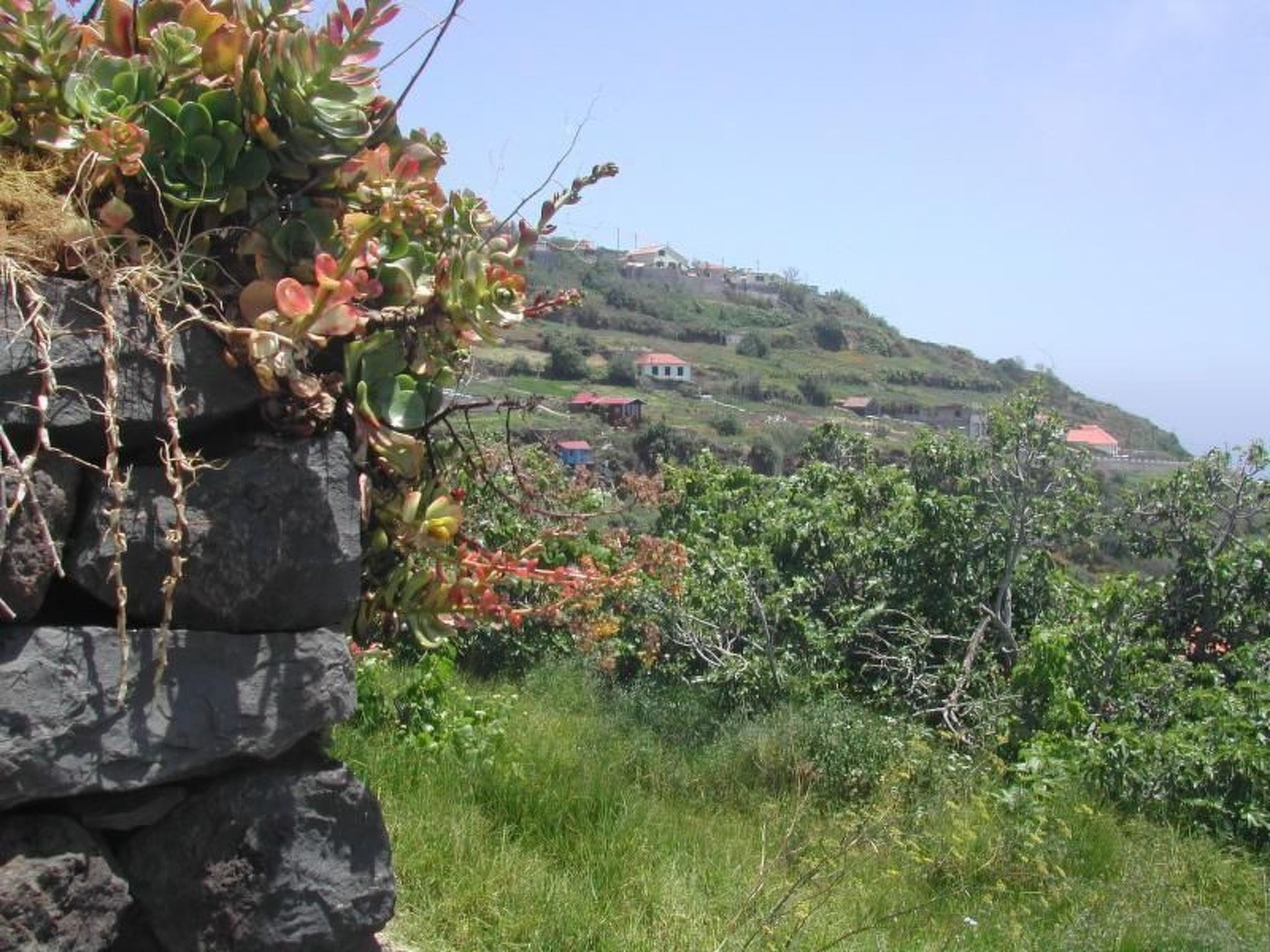 In Canhas mit Schönem Garten-Binnen