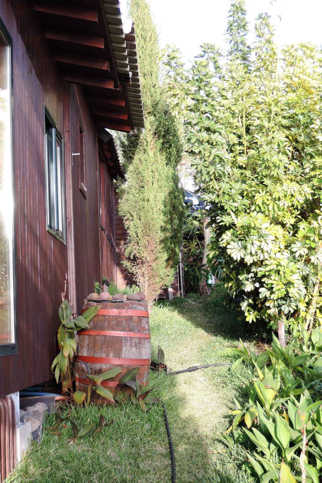 In Canhas mit Schönem Garten-Binnen