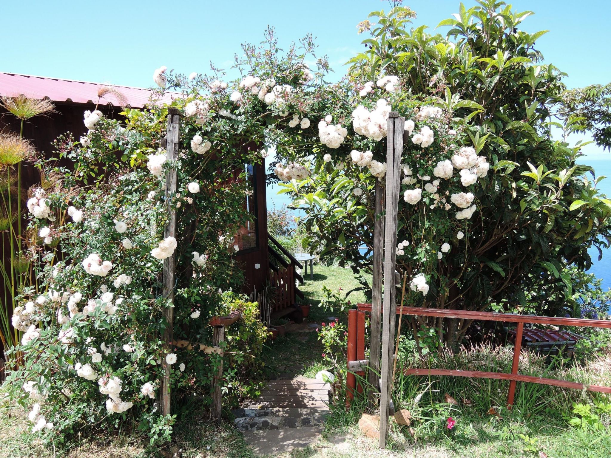 In Canhas mit Schönem Garten-Binnen