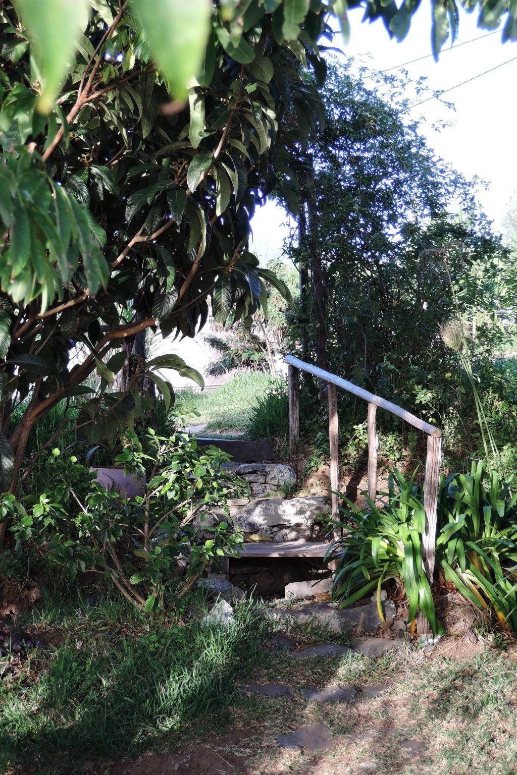In Canhas mit Schönem Garten-Binnen