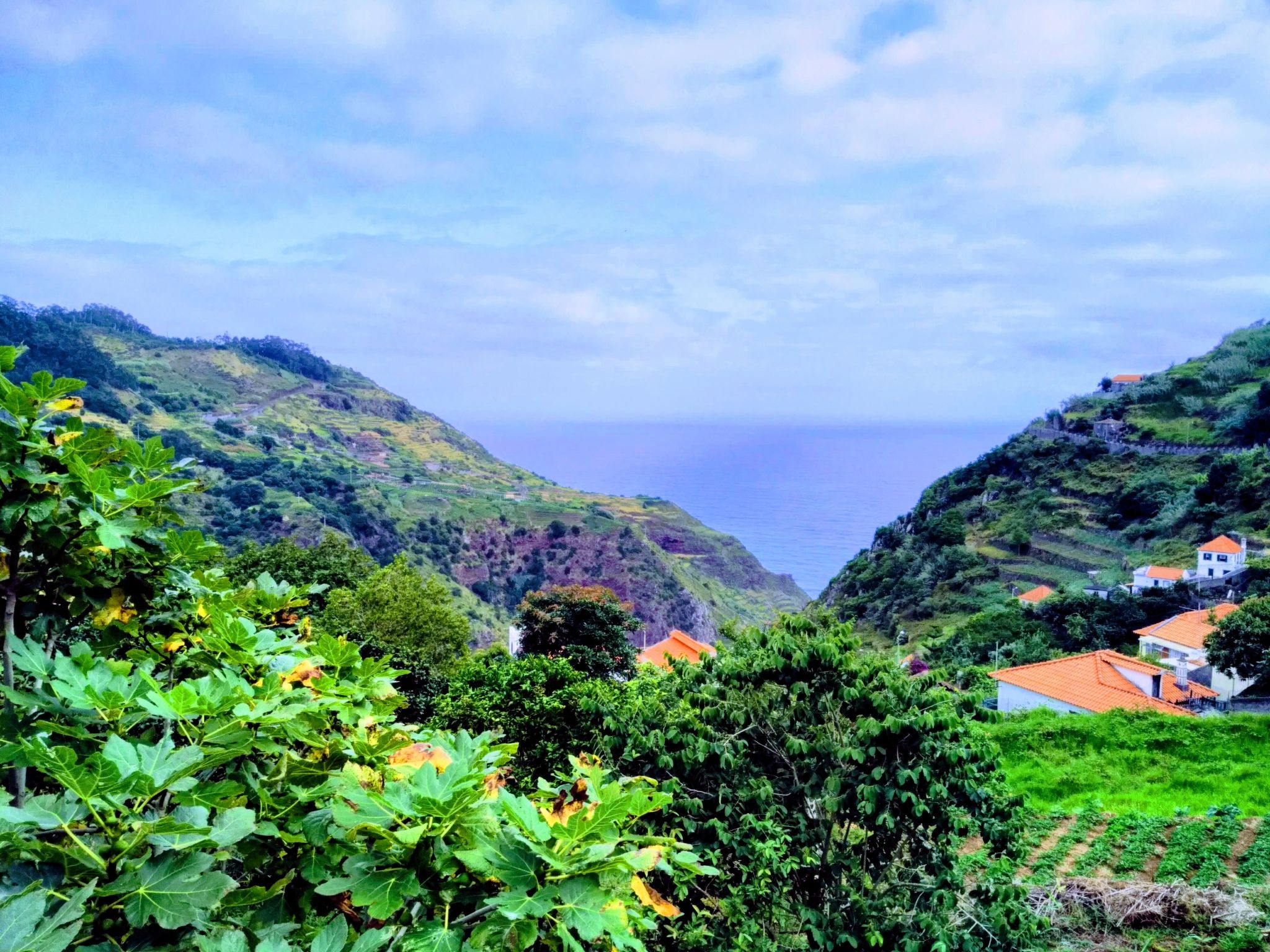 Quinta do Serrado-Binnen