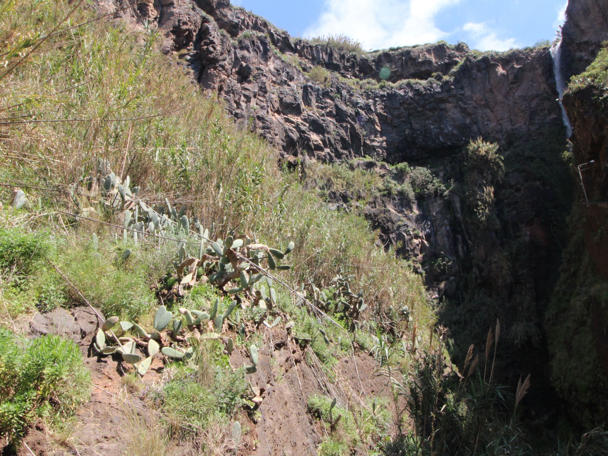 Mit Blick auf das Wasser-Dehors