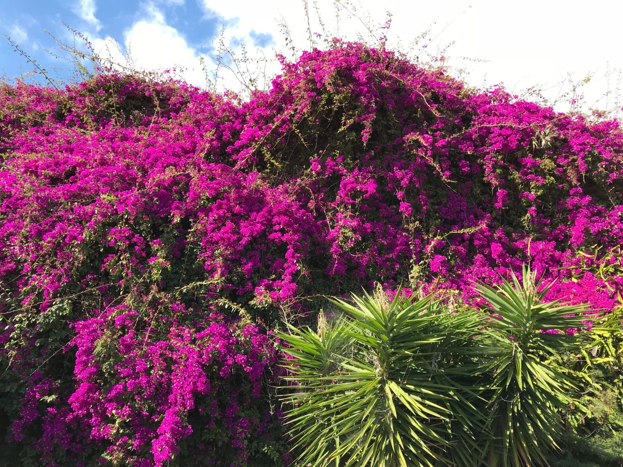 Mit Blick auf das Wasser-Image-tags.info