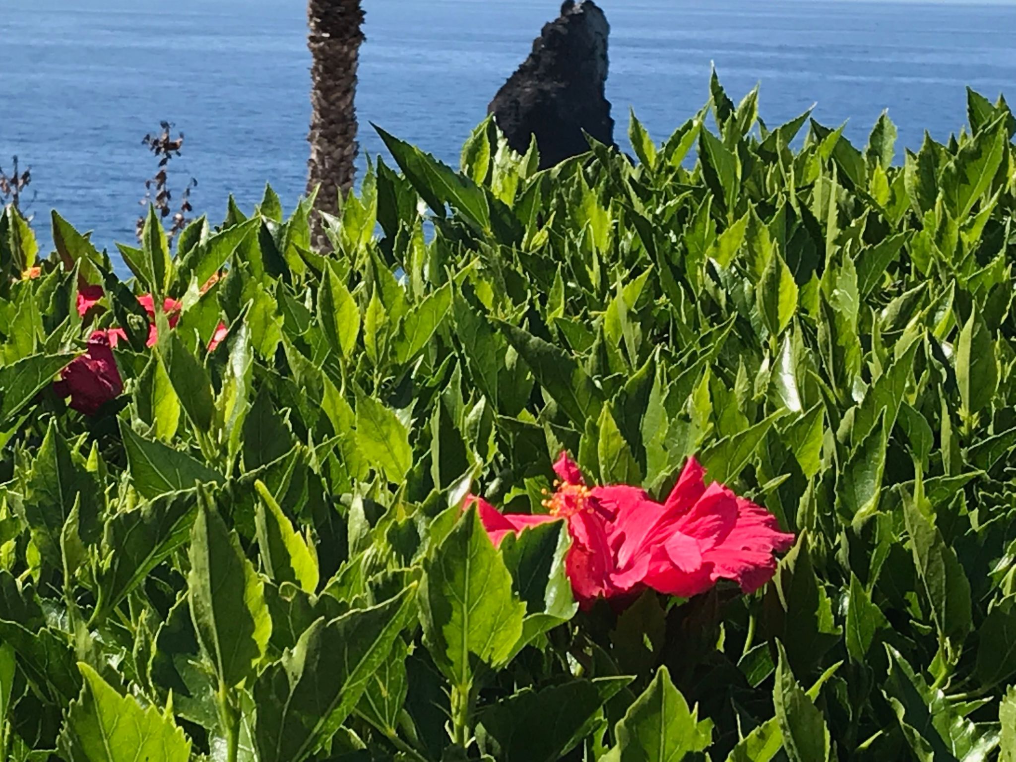 Mit Blick auf das Wasser-Image-tags.info