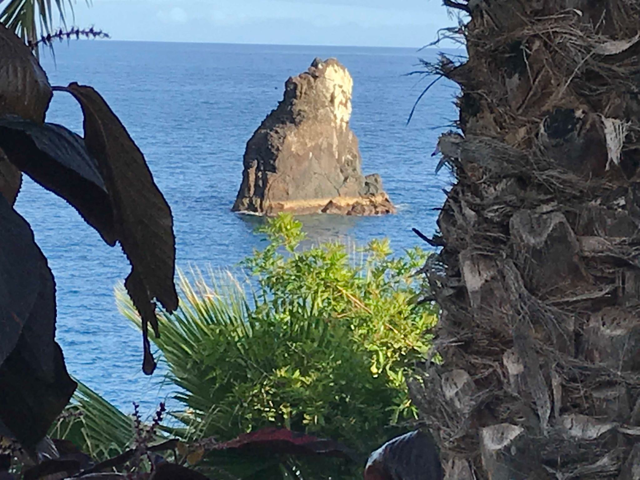 Mit Blick auf das Wasser-Image-tags.info