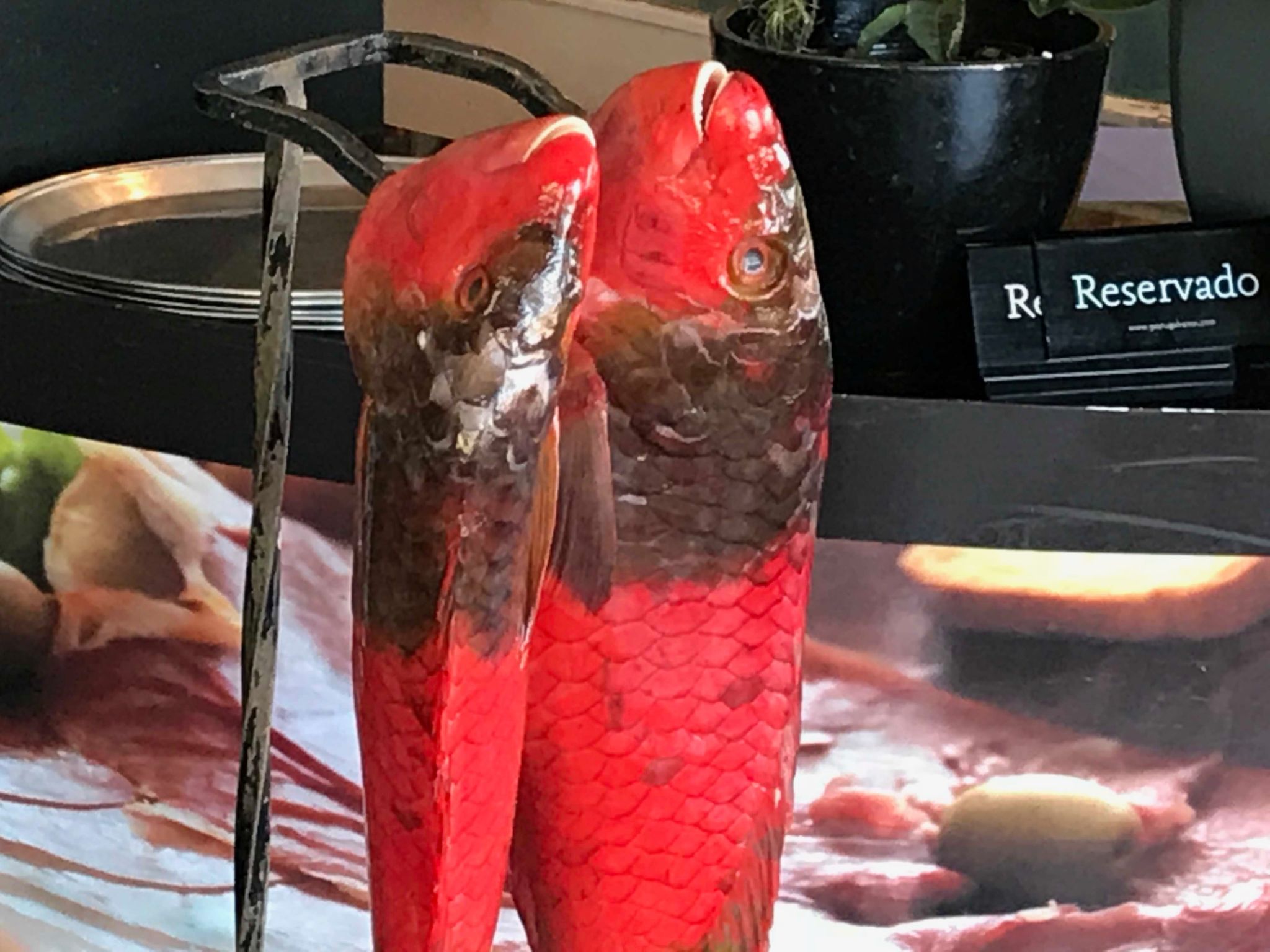 Mit Blick auf das Wasser-Image-tags.info