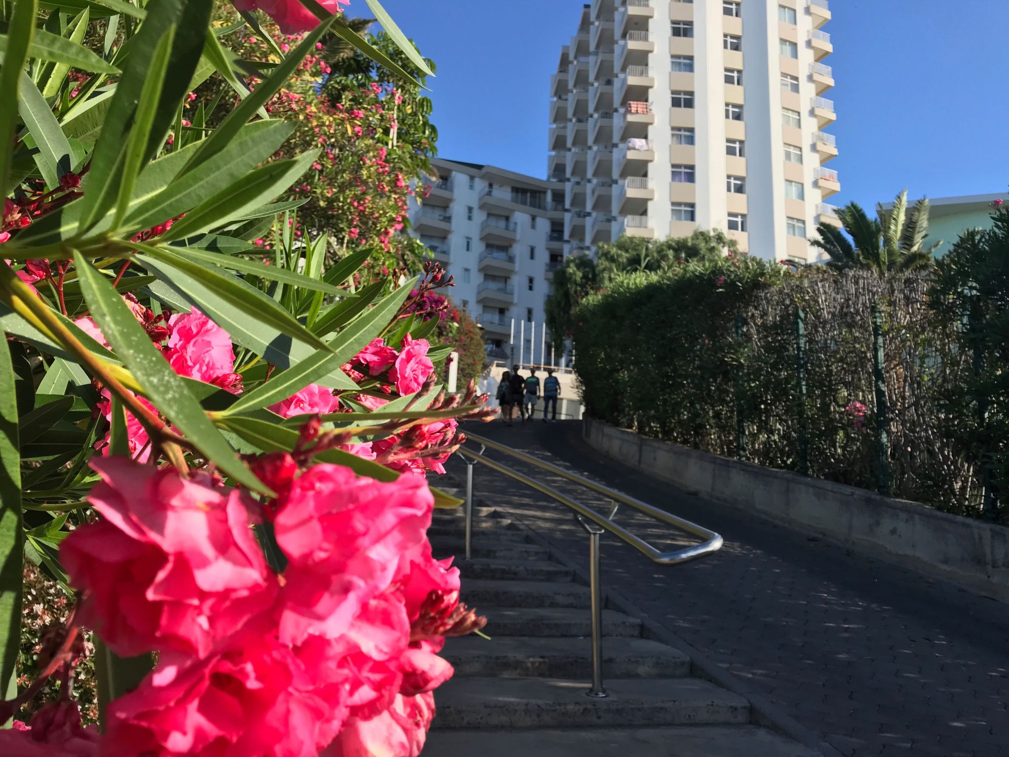 Mit Blick auf das Wasser-Image-tags.info