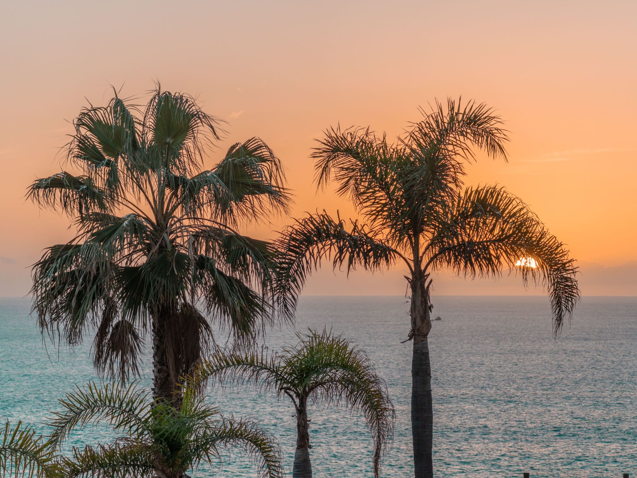 Photo of Wohnung "Madeira Palace Erste Linie"