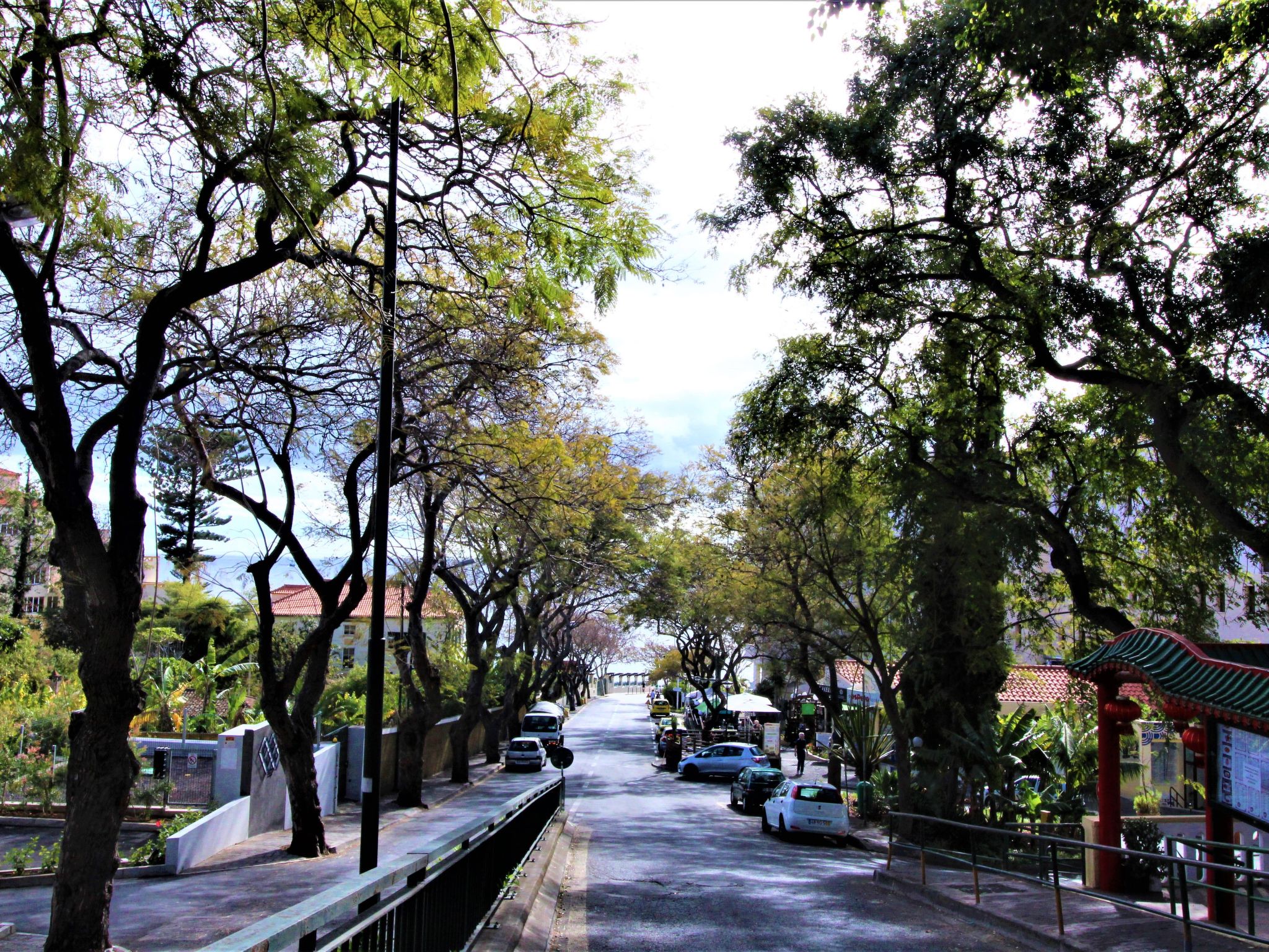 Funchal Lido Apartment Beste Lage-Buiten