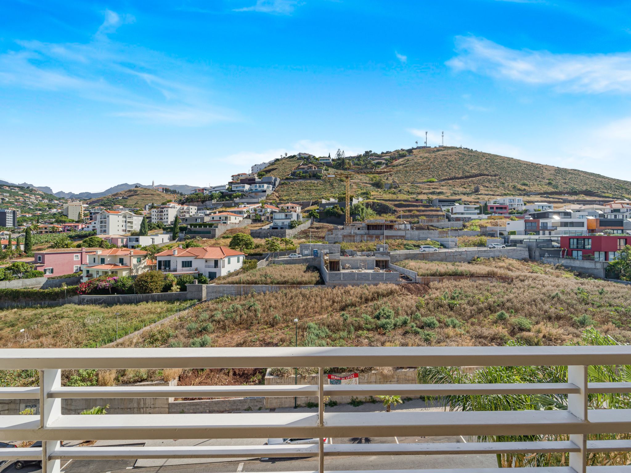 Tulipa Apartment Top-Image-tags.info